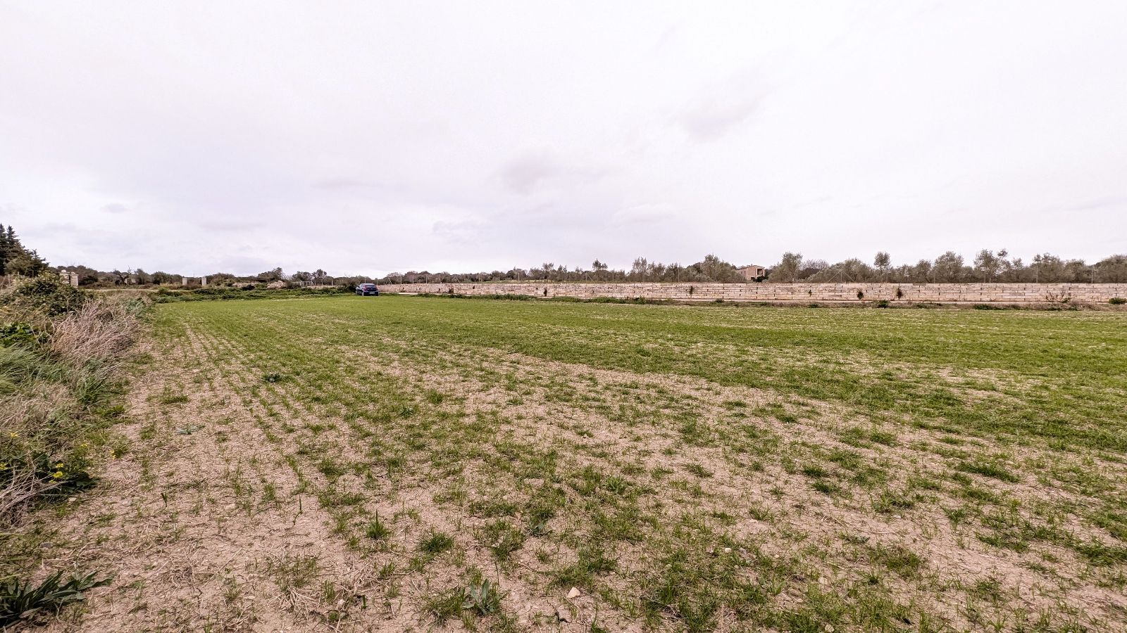 Fincas y solares-Venta-Muro de Alcoy-2092814-Foto-8