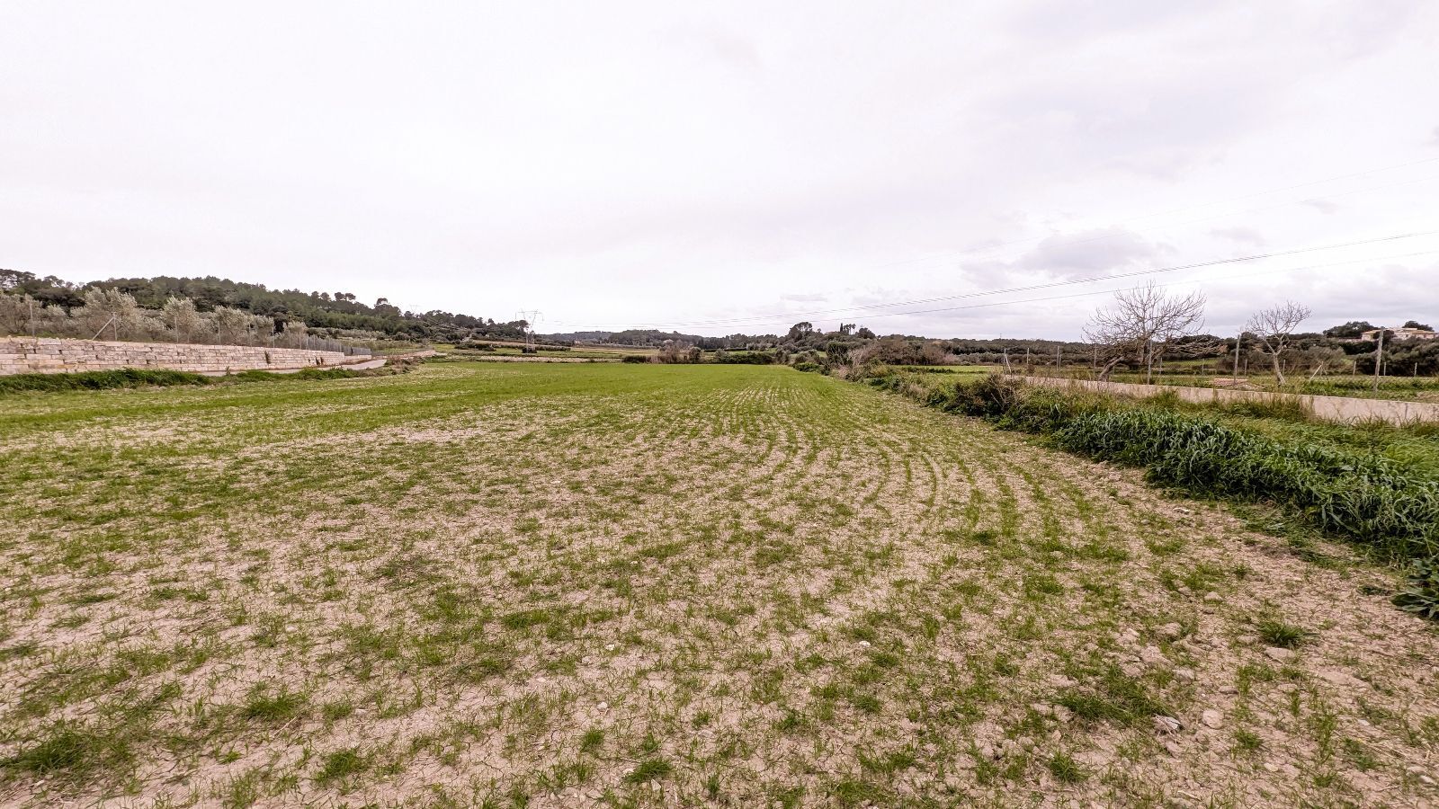 Fincas y solares-Venta-Muro de Alcoy-2092814-Foto-9