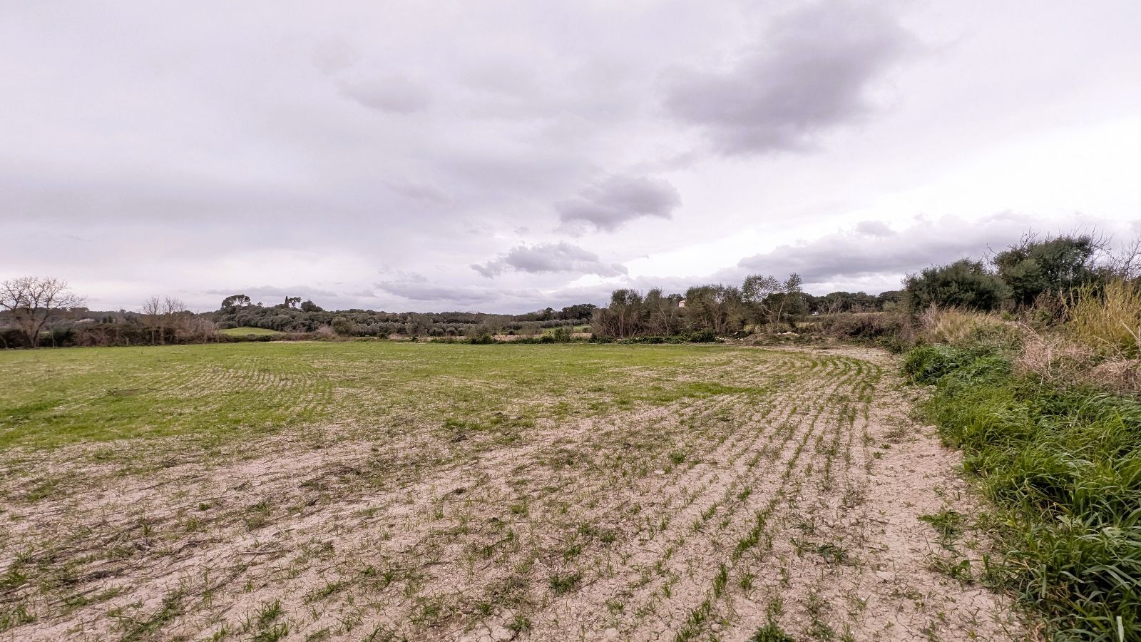 Fincas y solares-Venta-Muro de Alcoy-2092814-Foto-13