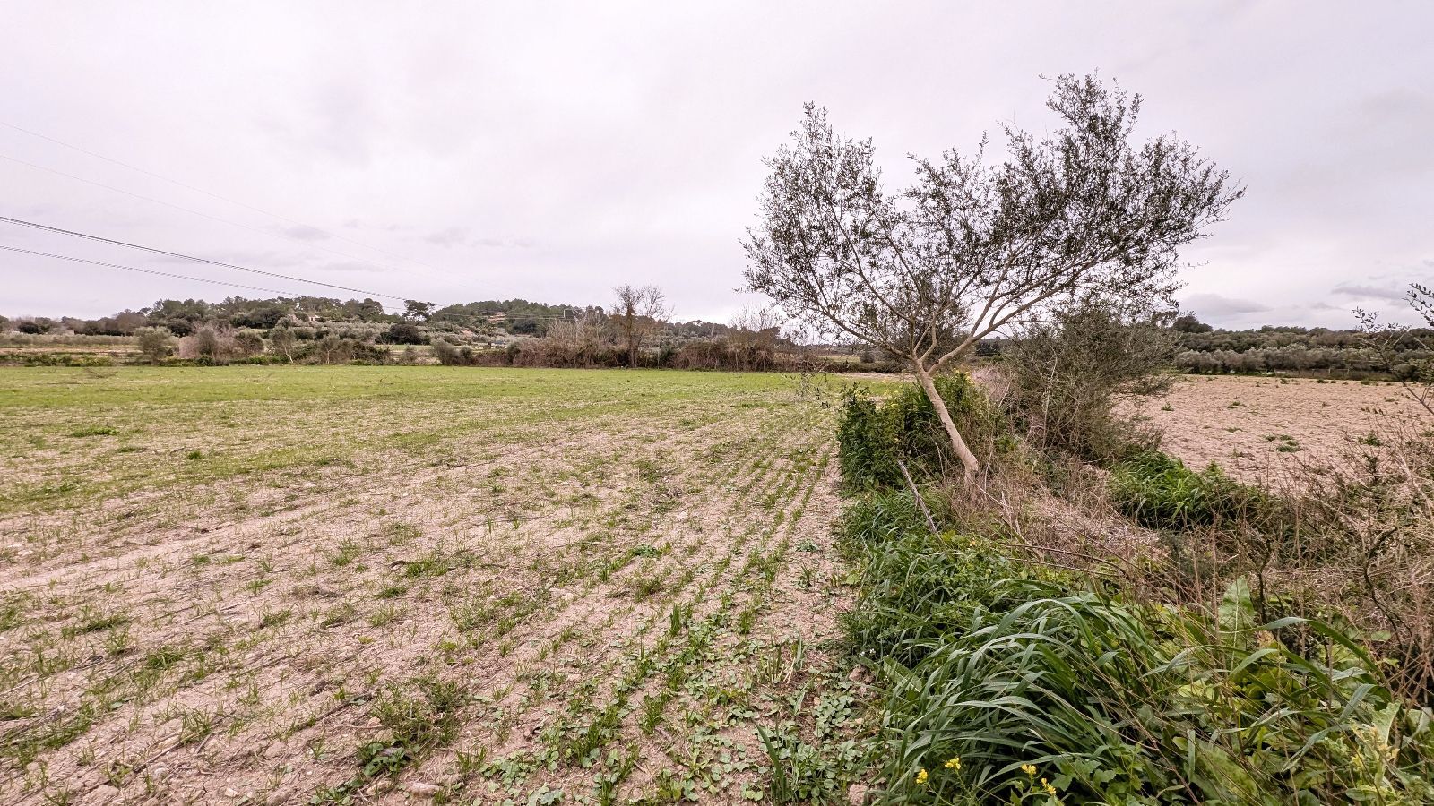 Fincas y solares-Venta-Muro de Alcoy-2092814-Foto-15