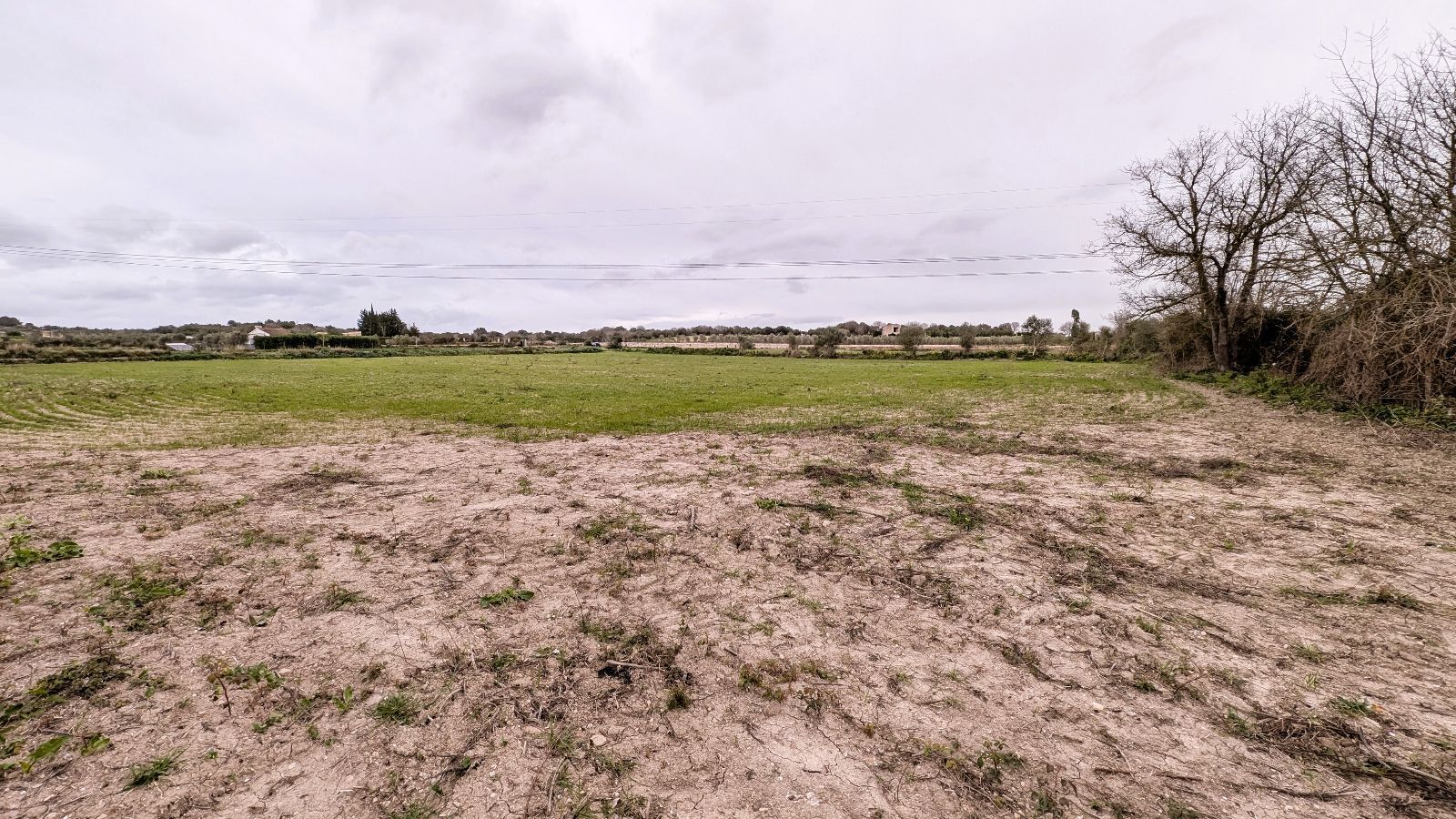 Fincas y solares-Venta-Muro de Alcoy-2092814-Foto-18