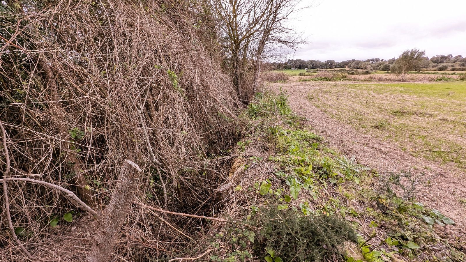 Fincas y solares-Venta-Muro de Alcoy-2092814-Foto-20