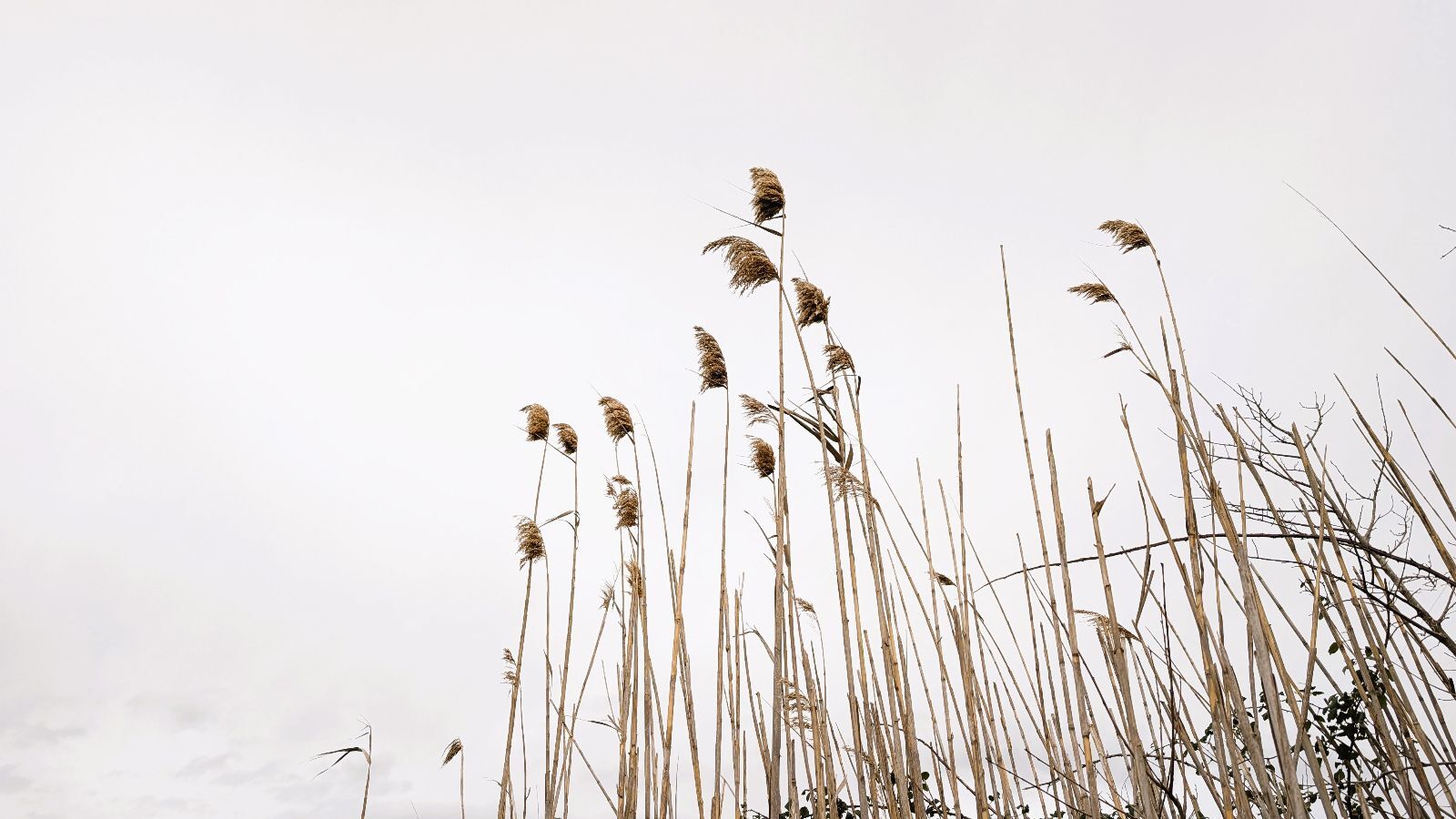 Fincas y solares-Venta-Muro de Alcoy-2092814-Foto-23