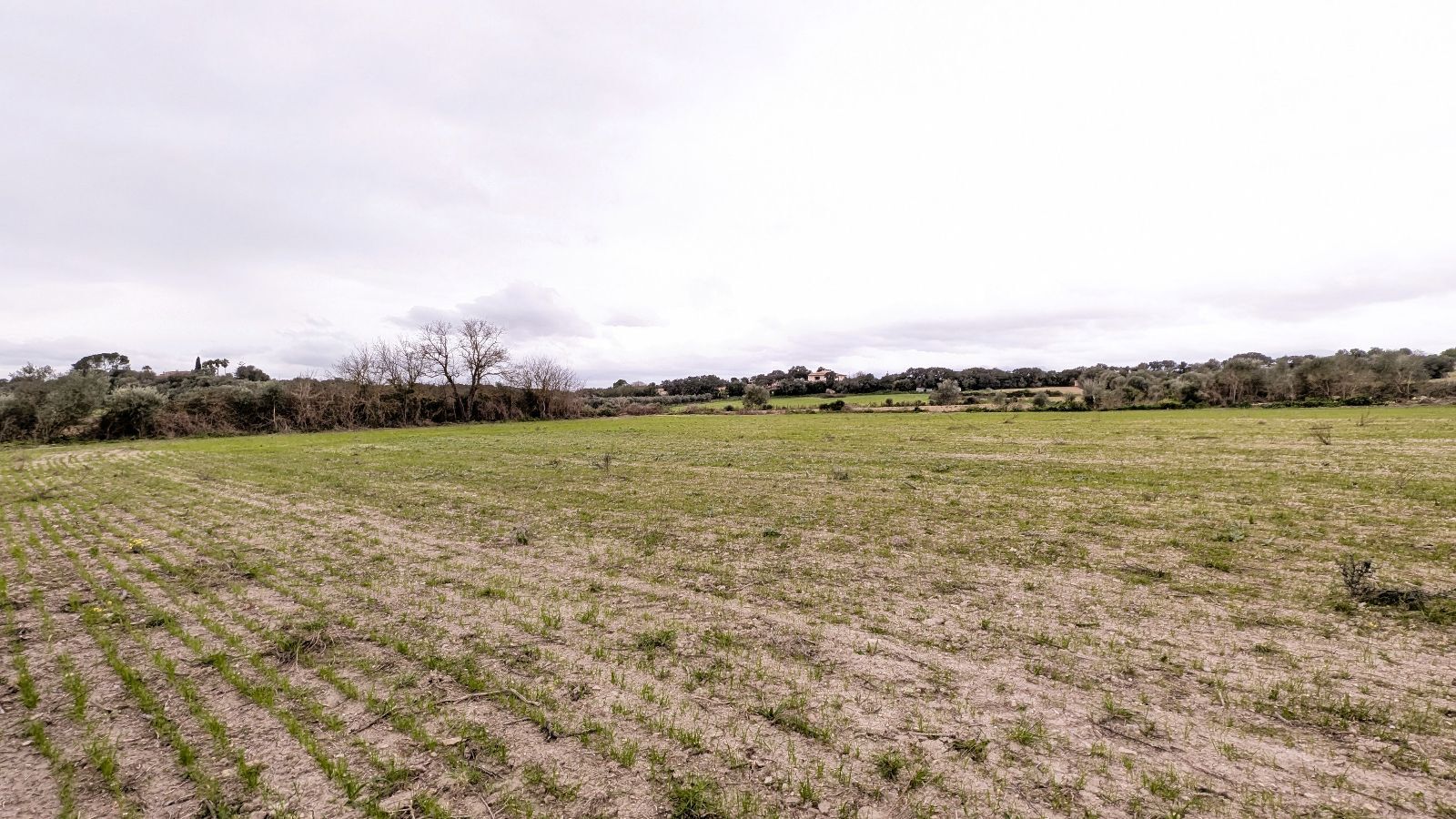 Fincas y solares-Venta-Muro de Alcoy-2092814-Foto-22