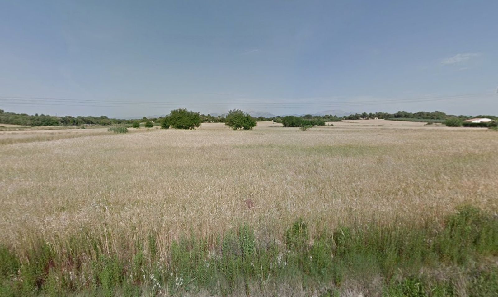 Fincas y solares-Venta-Muro de Alcoy-2092814-Foto-32