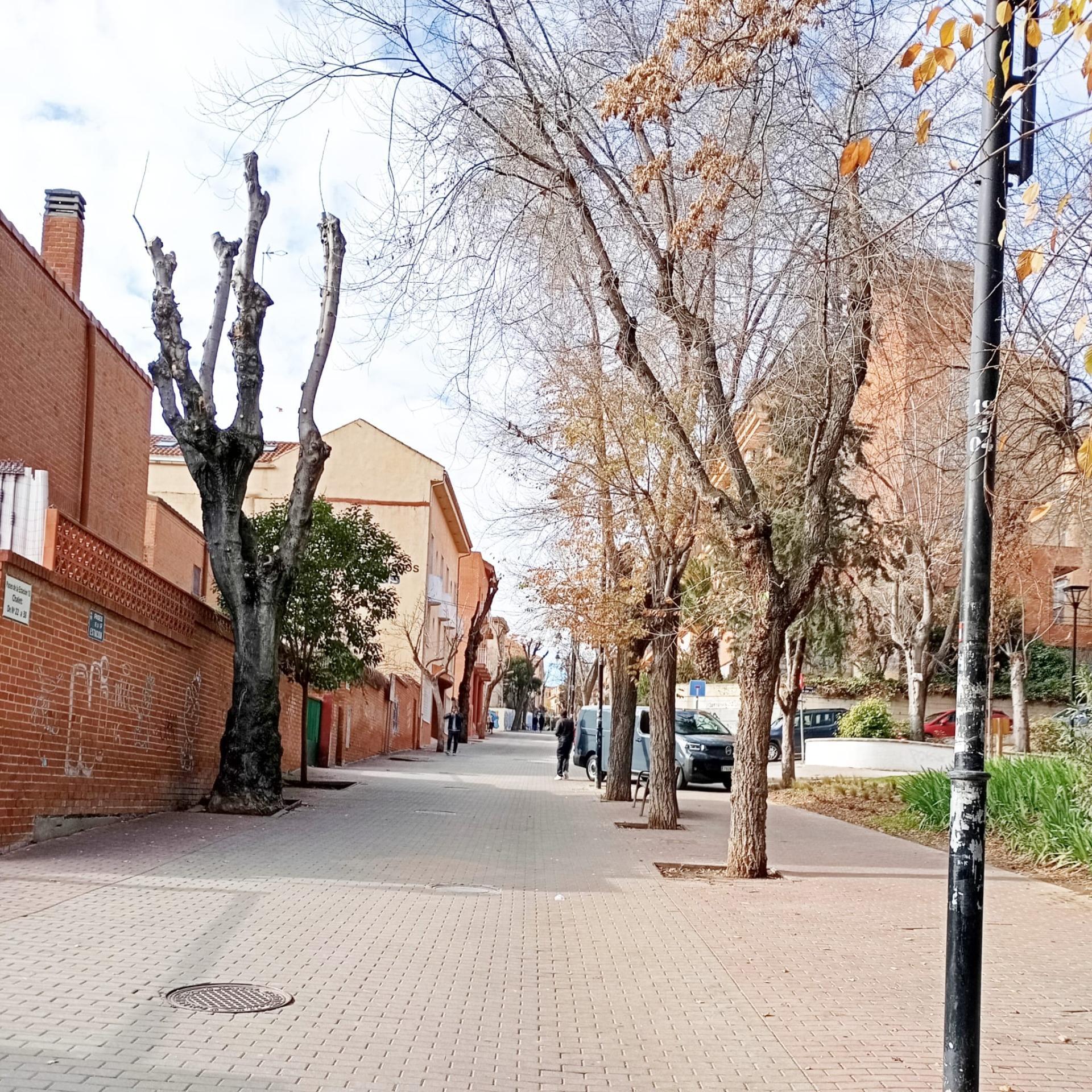 Pisos-Venta-Ciempozuelos-2092817-Foto-4