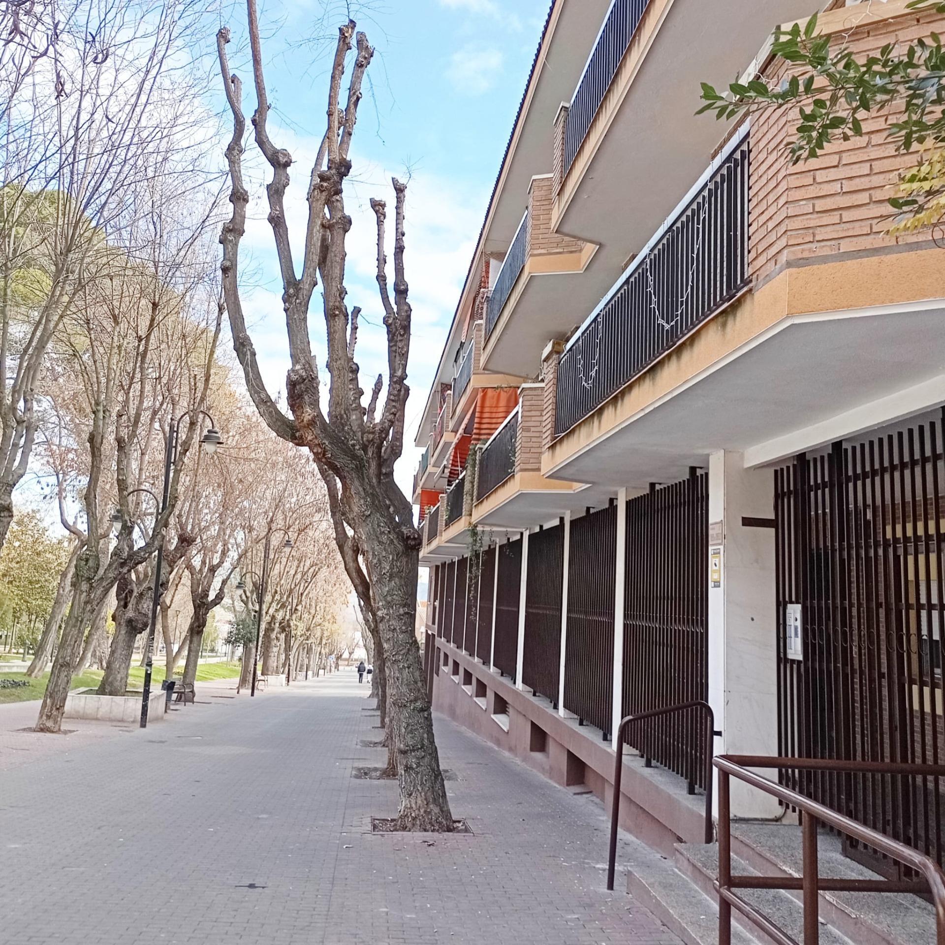 Pisos-Venta-Ciempozuelos-2092817-Foto-3