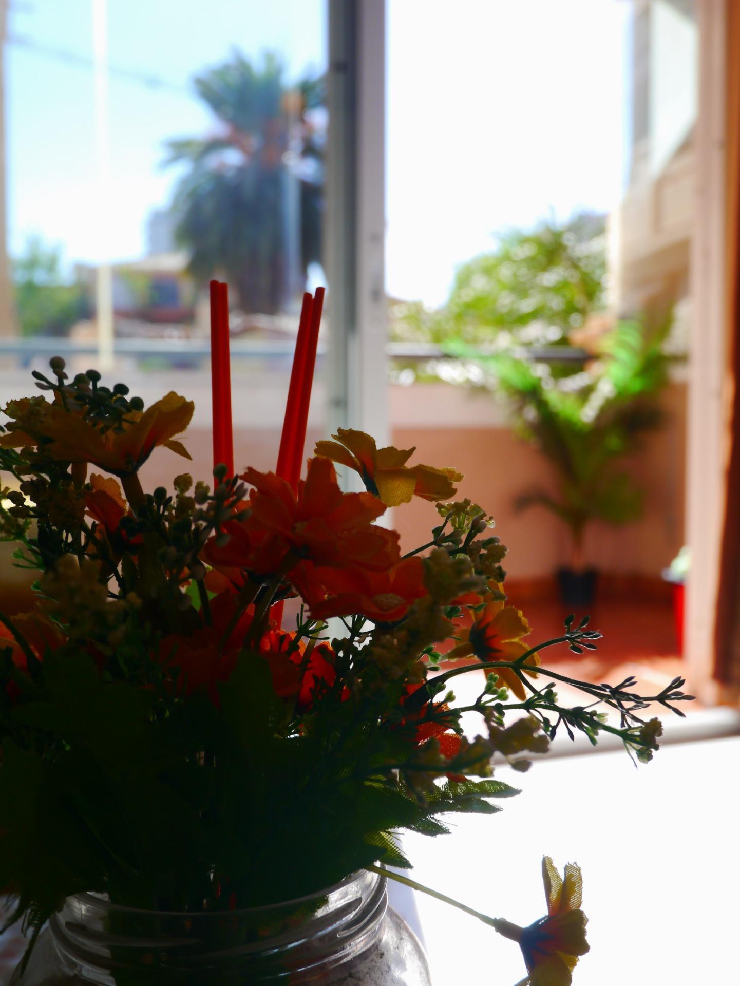 Pisos-Venta-Fuengirola-1942418-Foto-13