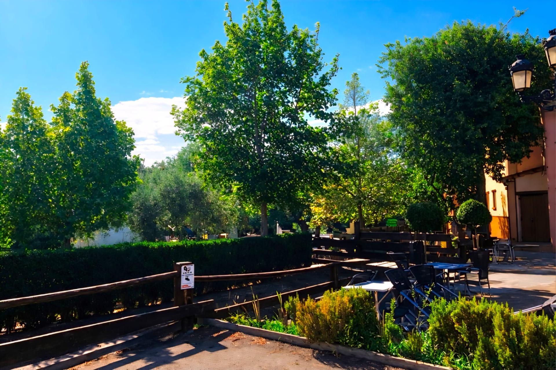 Edificios-Venta-Ricla-2105900-Foto-35