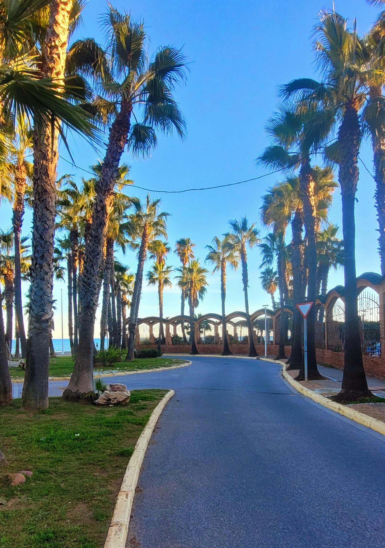 Pisos-Venta-Oropesa del Mar-2105903-Foto-29