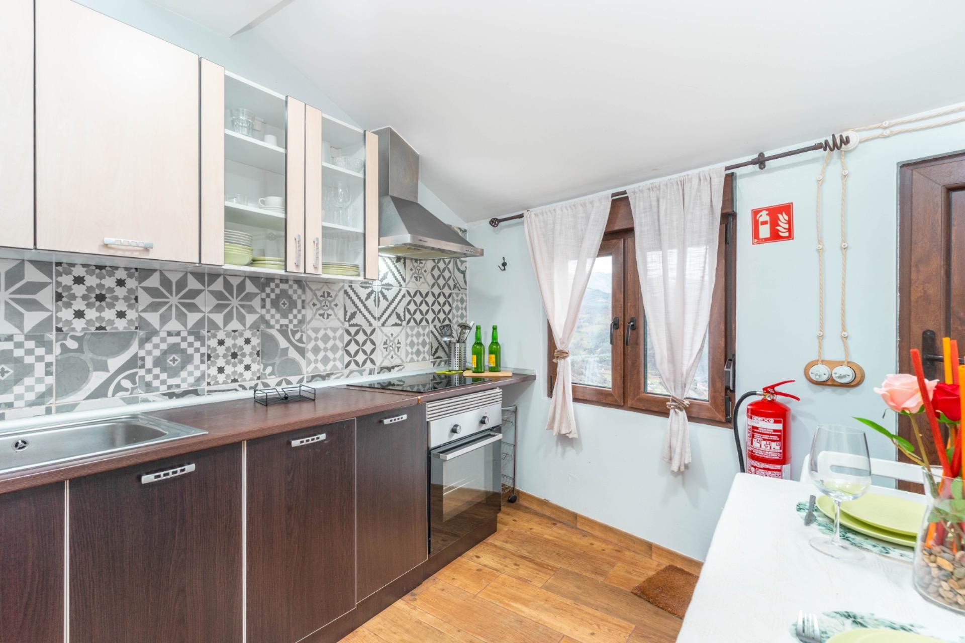 Casas o chalets-Venta-Mieres-2105912-Foto-11