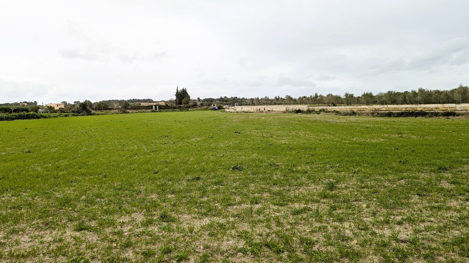 Fincas y solares-Venta-2092814