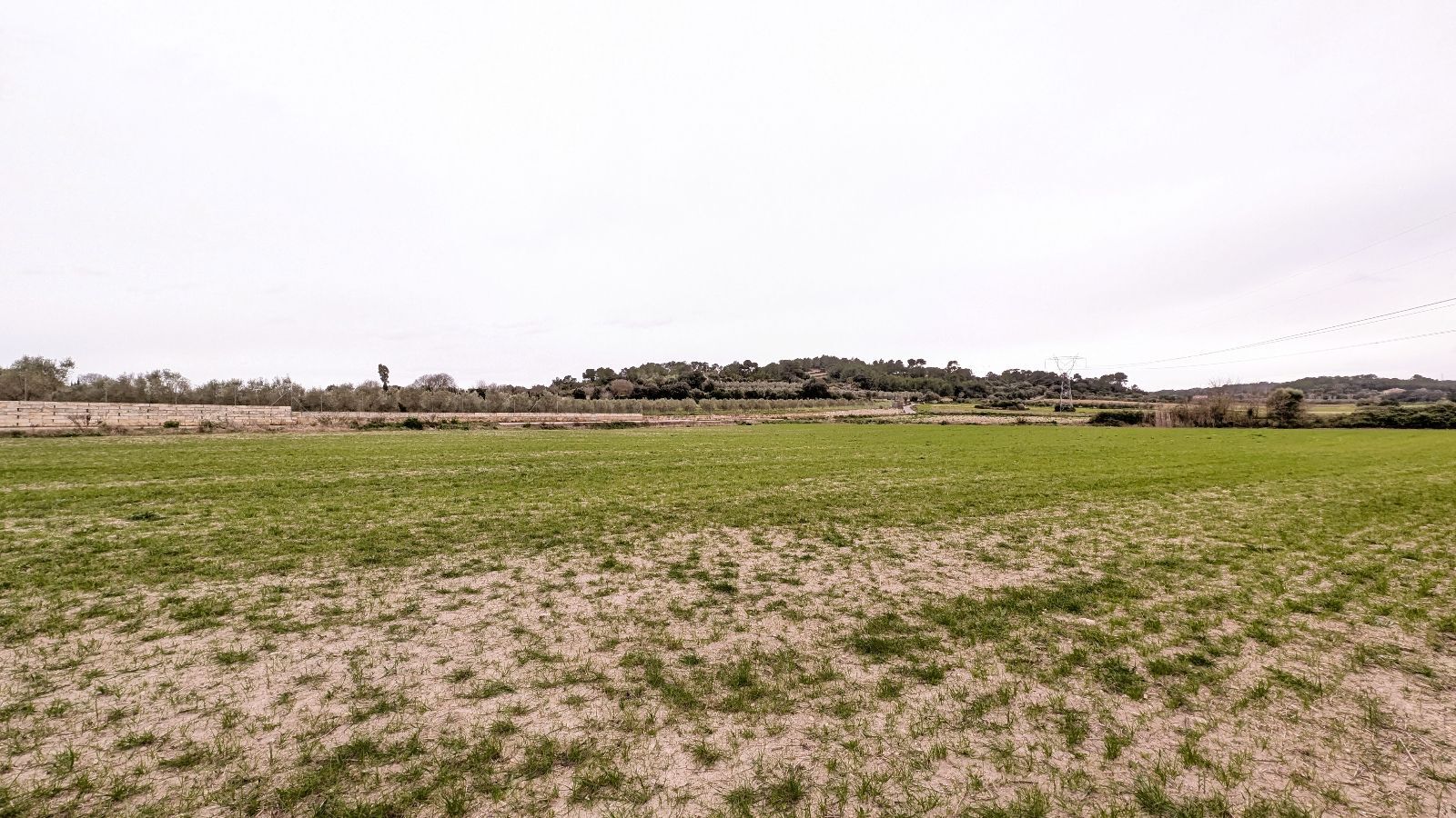 Fincas y solares-Venta-Muro de Alcoy-2092814-Foto-12