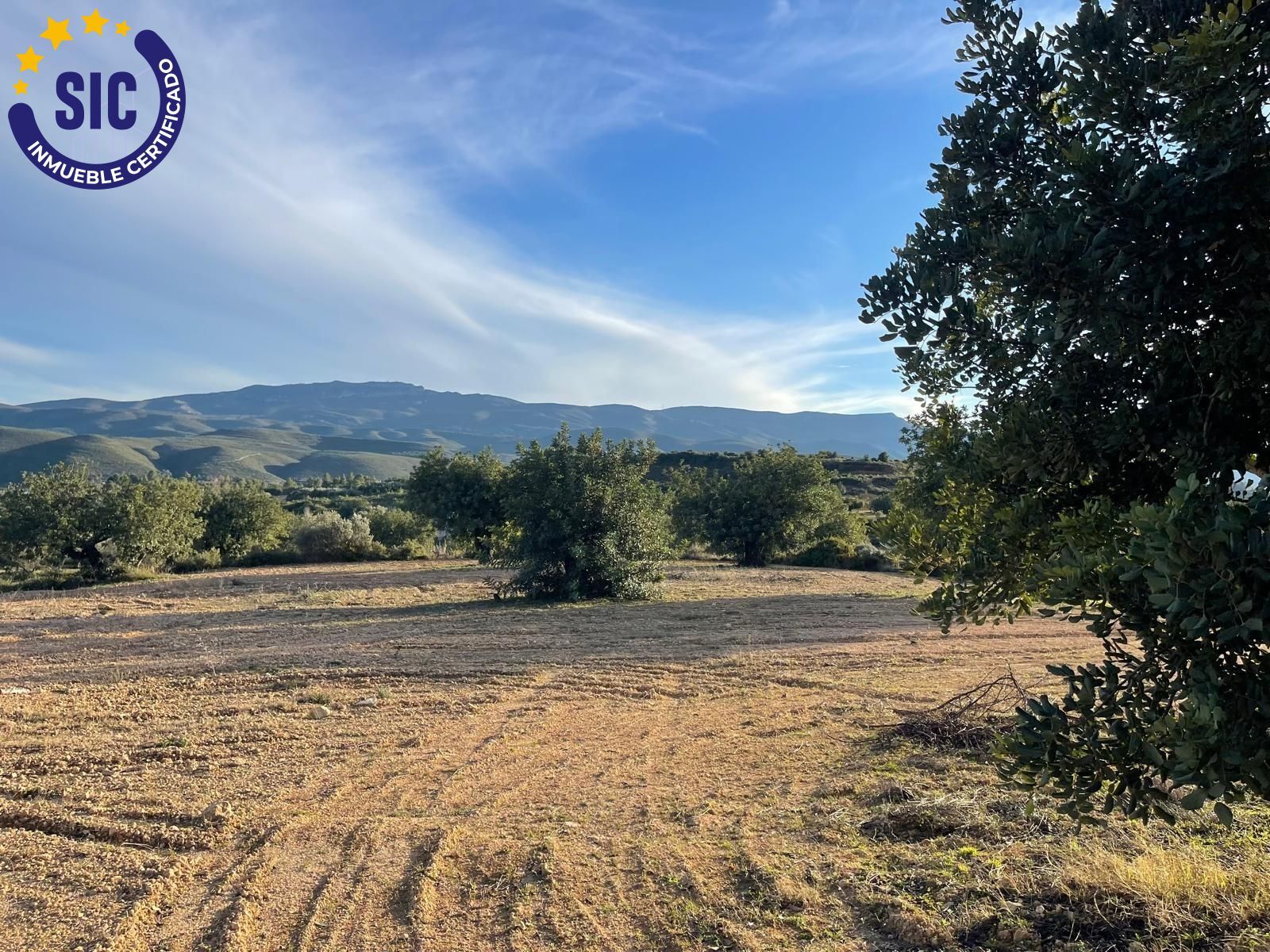 Fincas y solares-Venta-2106591