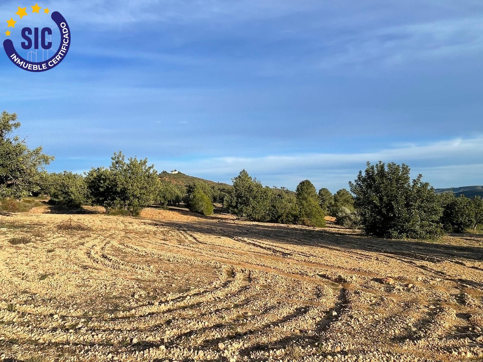 Fincas y solares-Venta-Macastre-2106591-Foto-7