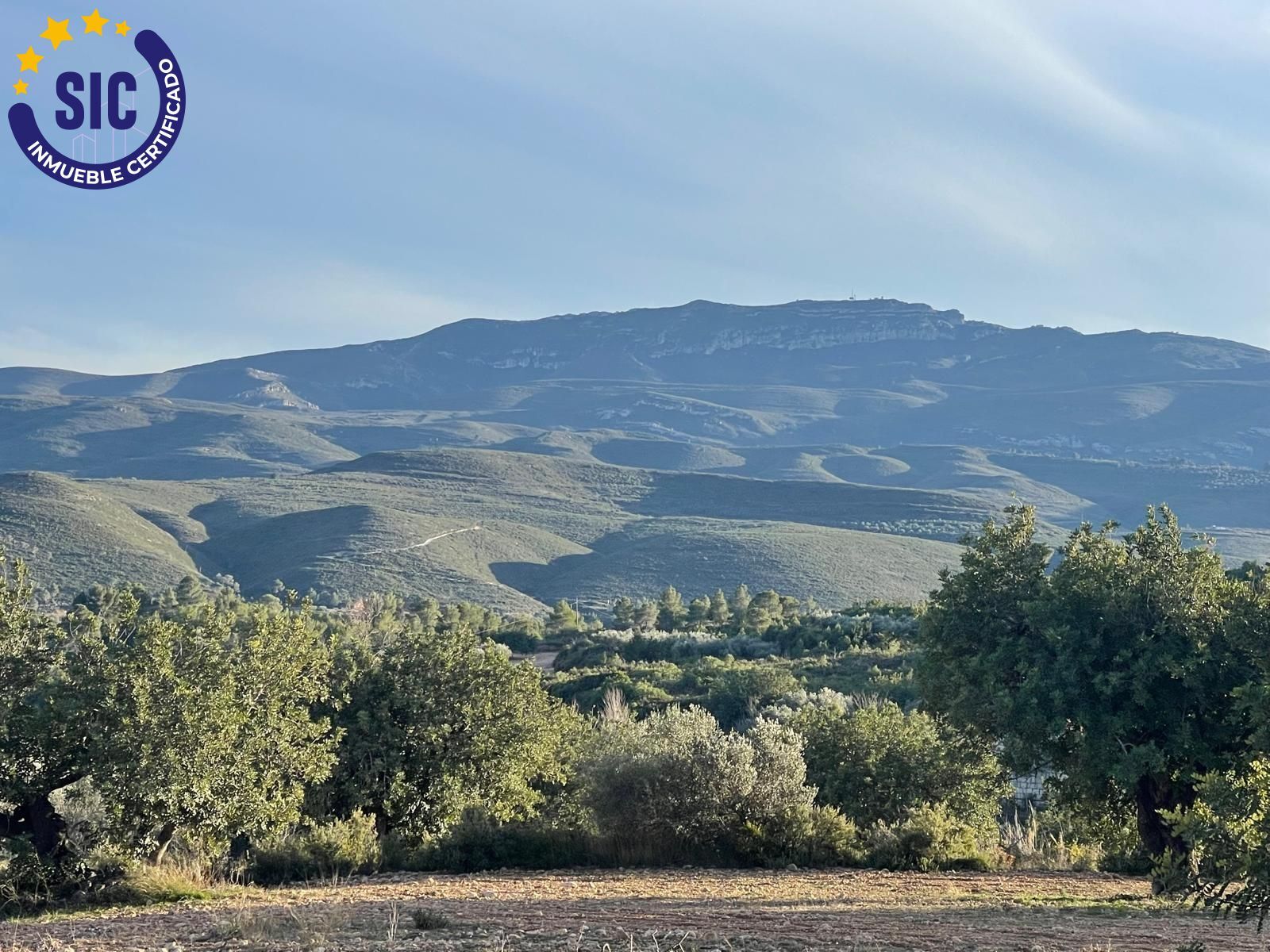 Fincas y solares-Venta-Macastre-2106591-Foto-10