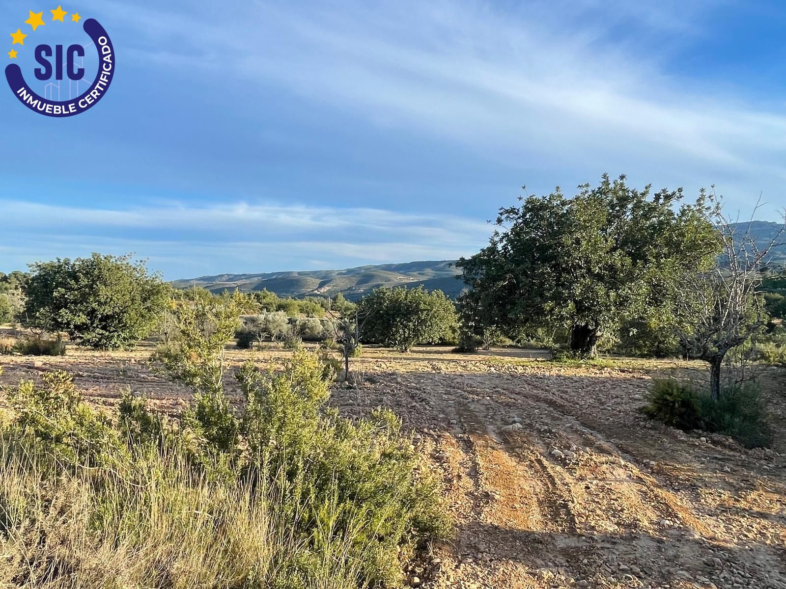 Fincas y solares-Venta-Macastre-2106591-Foto-9