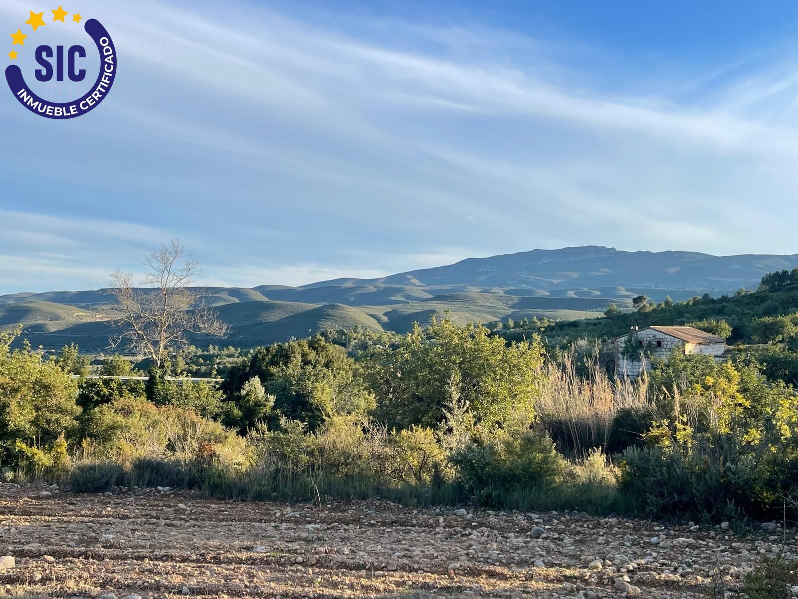 Fincas y solares-Venta-Macastre-2106591-Foto-14