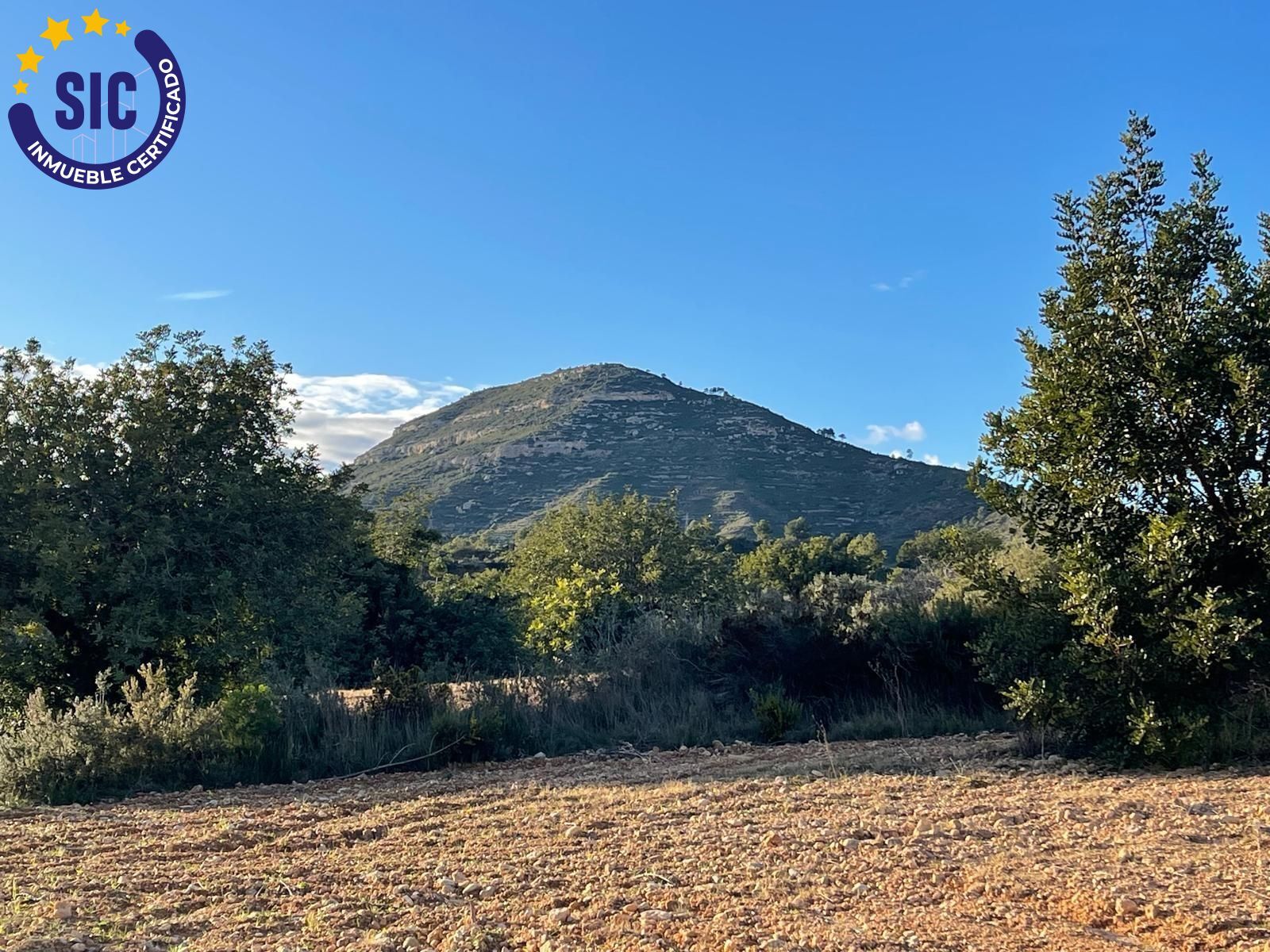 Fincas y solares-Venta-Macastre-2106591-Foto-12