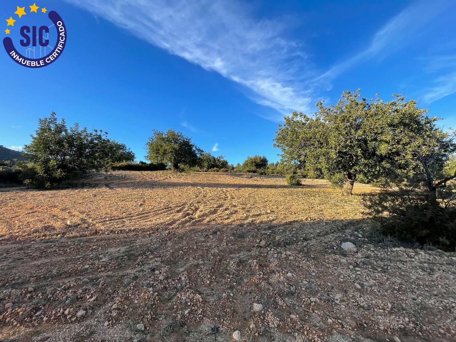 Fincas y solares-Venta-Macastre-2106591-Foto-11