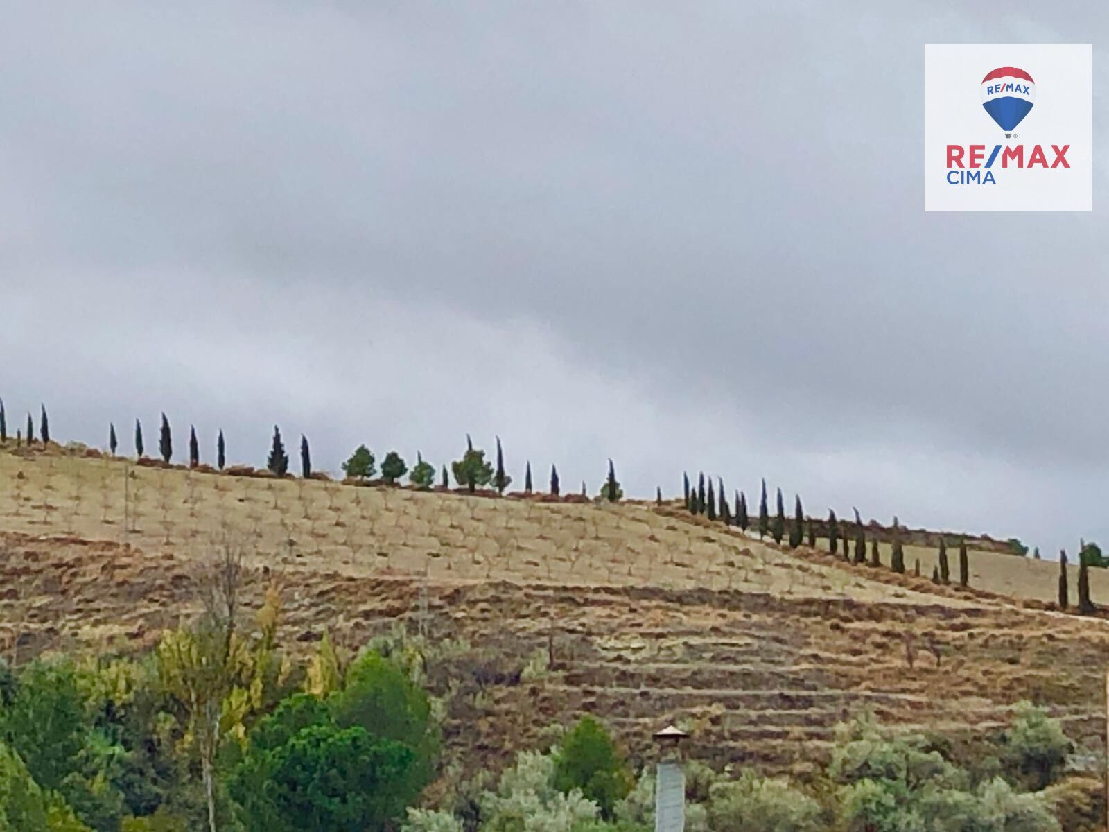 Pisos-Venta-CÃºllar-2106597-Foto-24