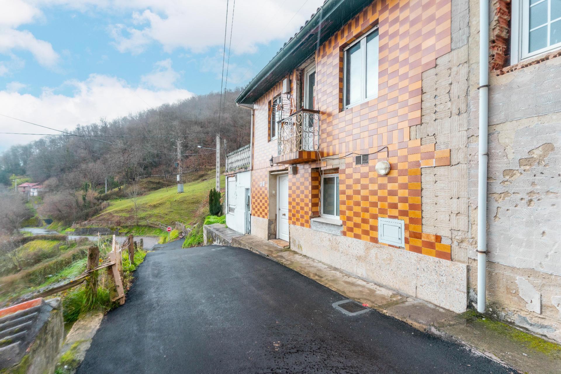 Pisos-Venta-Mieres-2106606-Foto-23
