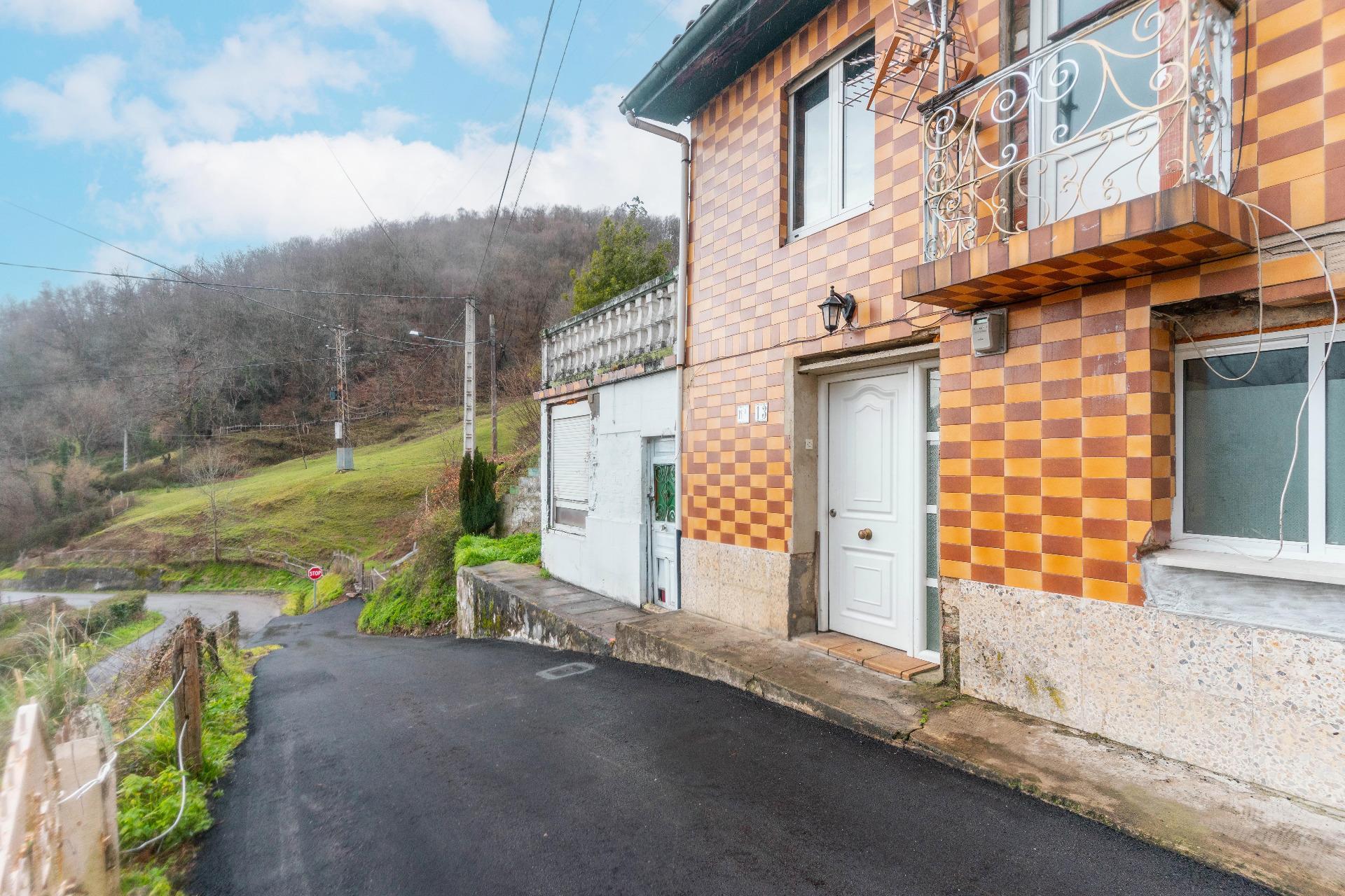 Pisos-Venta-Mieres-2106606-Foto-22