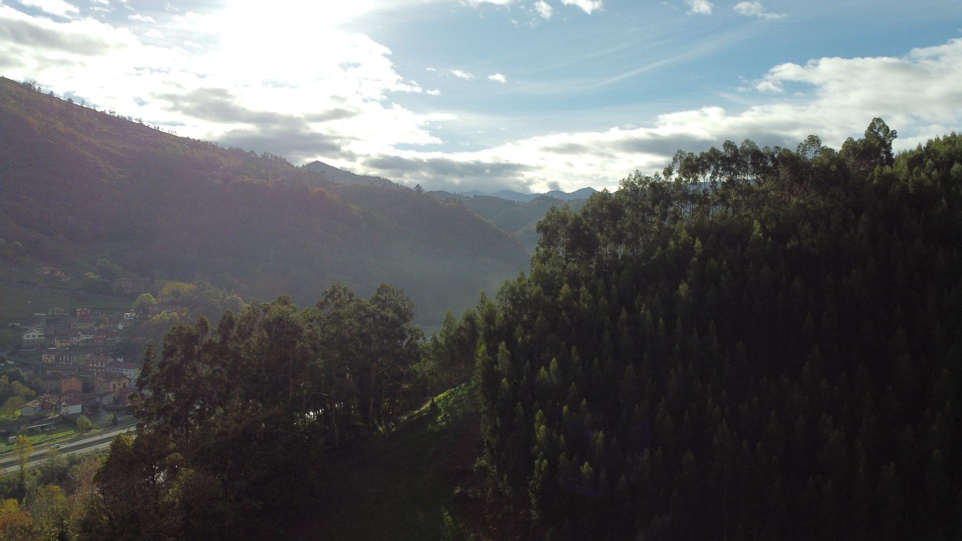 Pisos-Venta-Mieres-1974148-Foto-27