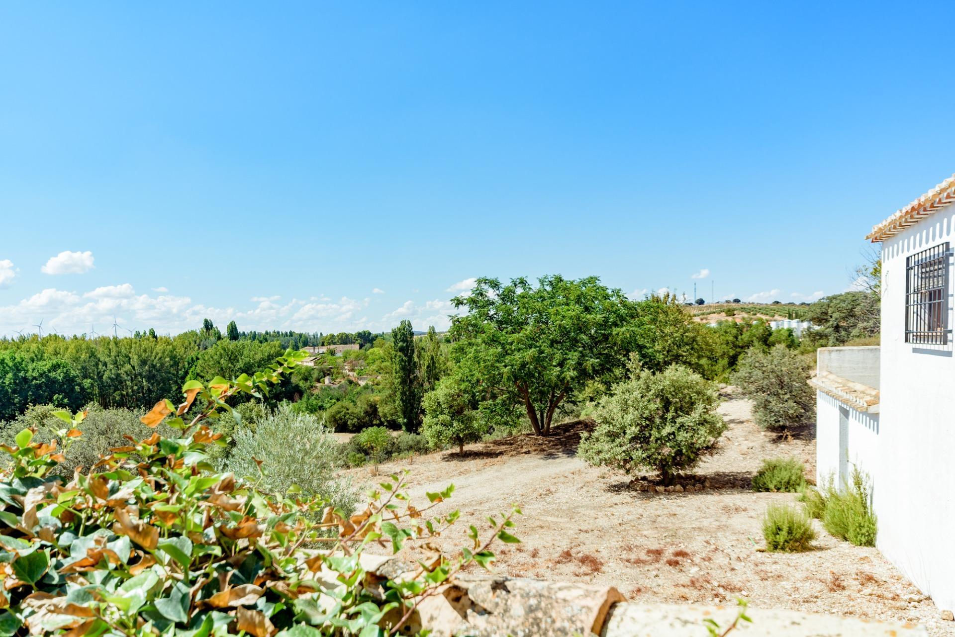 Pisos-Venta-El Bonillo-1724756-Foto-55