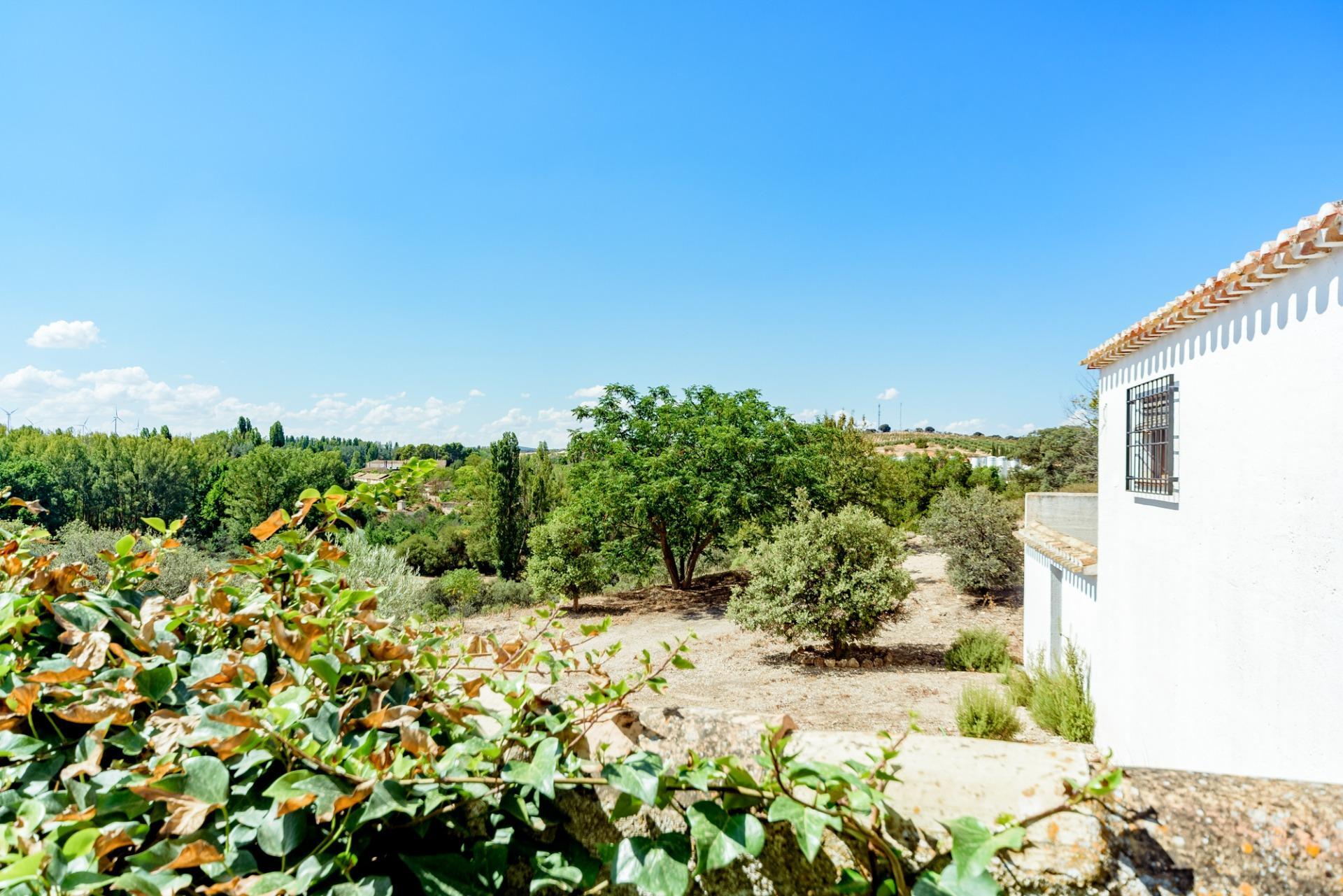 Pisos-Venta-El Bonillo-1724756-Foto-58