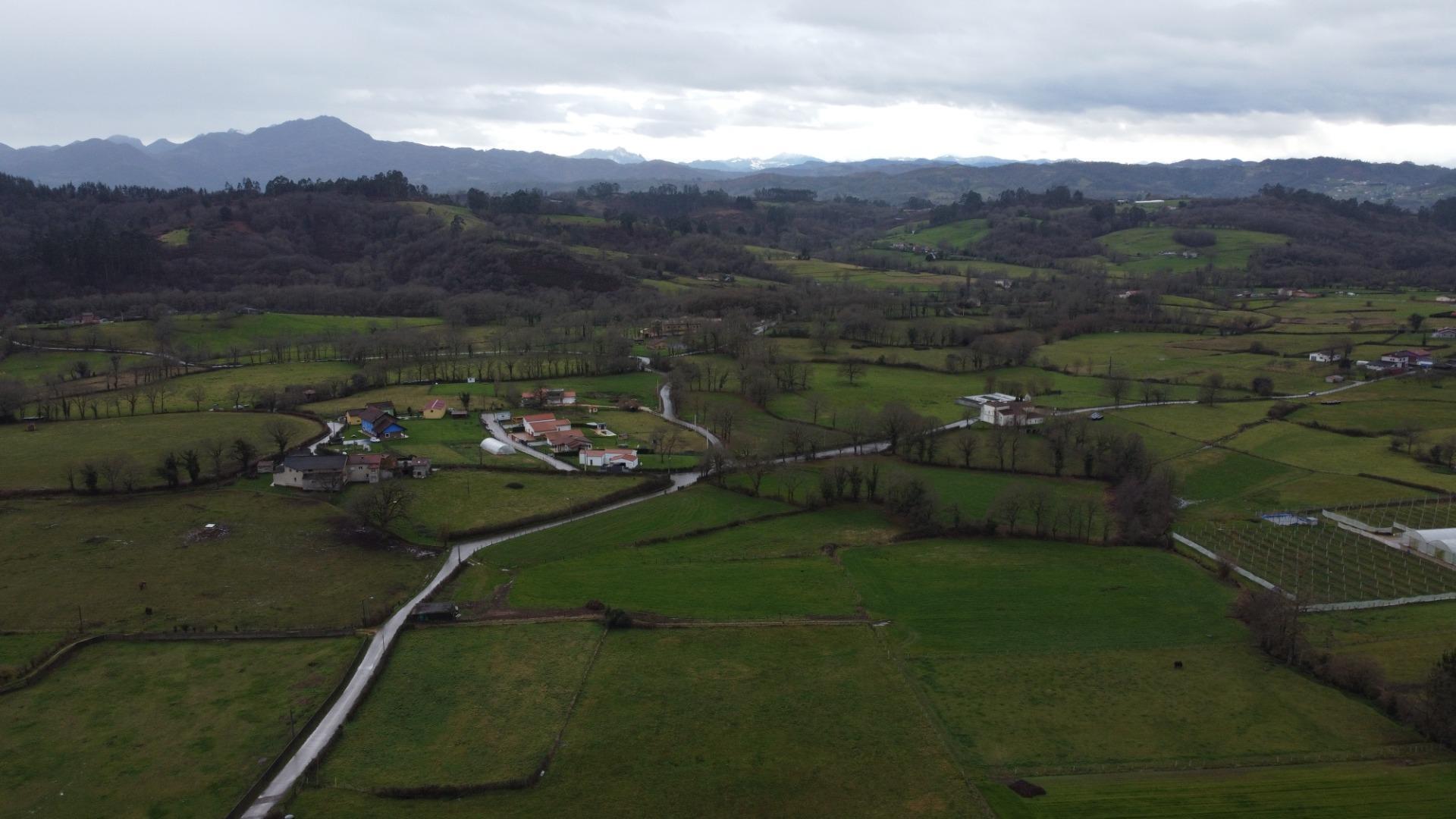 Fincas y solares-Venta-Sariego-2107128-Foto-3