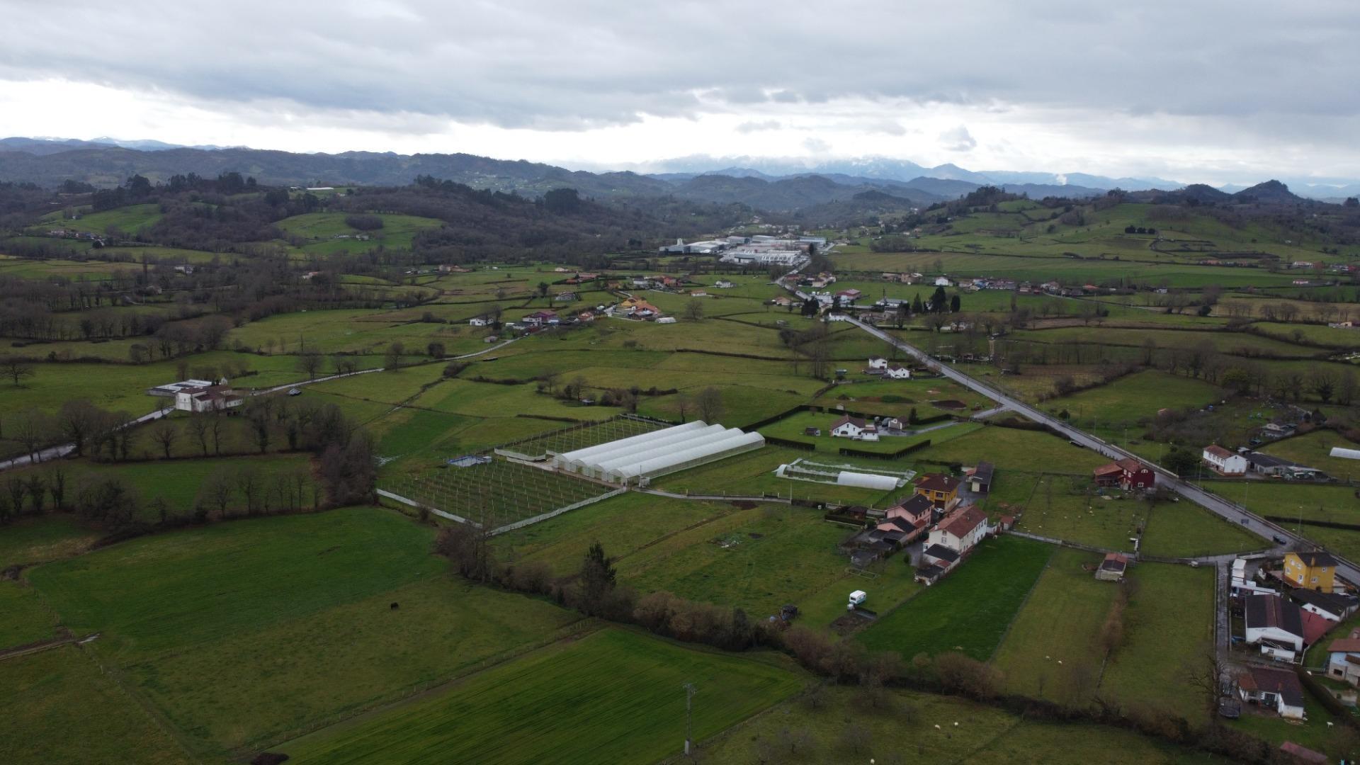 Fincas y solares-Venta-Sariego-2107128-Foto-9