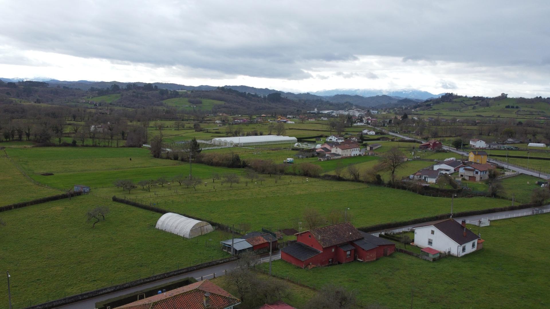 Fincas y solares-Venta-Sariego-2107128-Foto-12