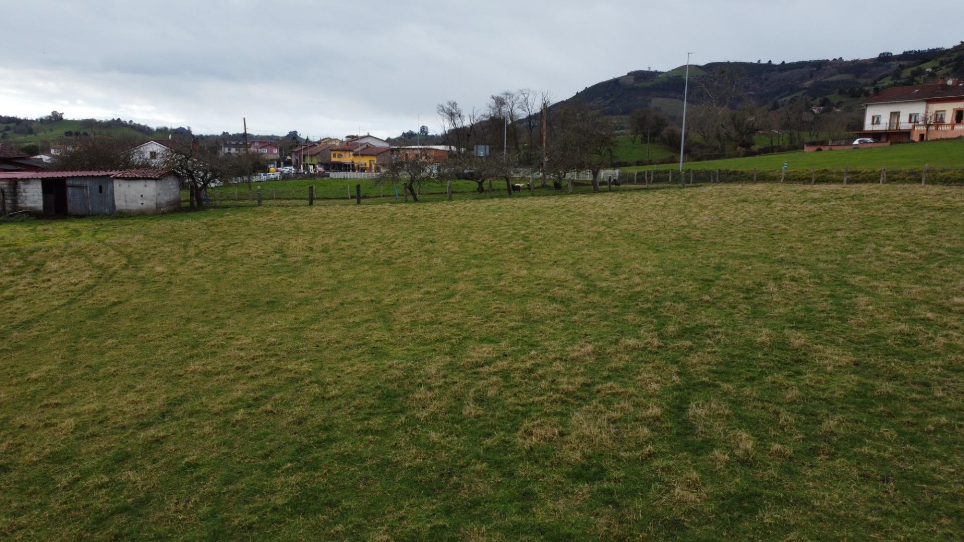 Fincas y solares-Venta-Sariego-2107128-Foto-18