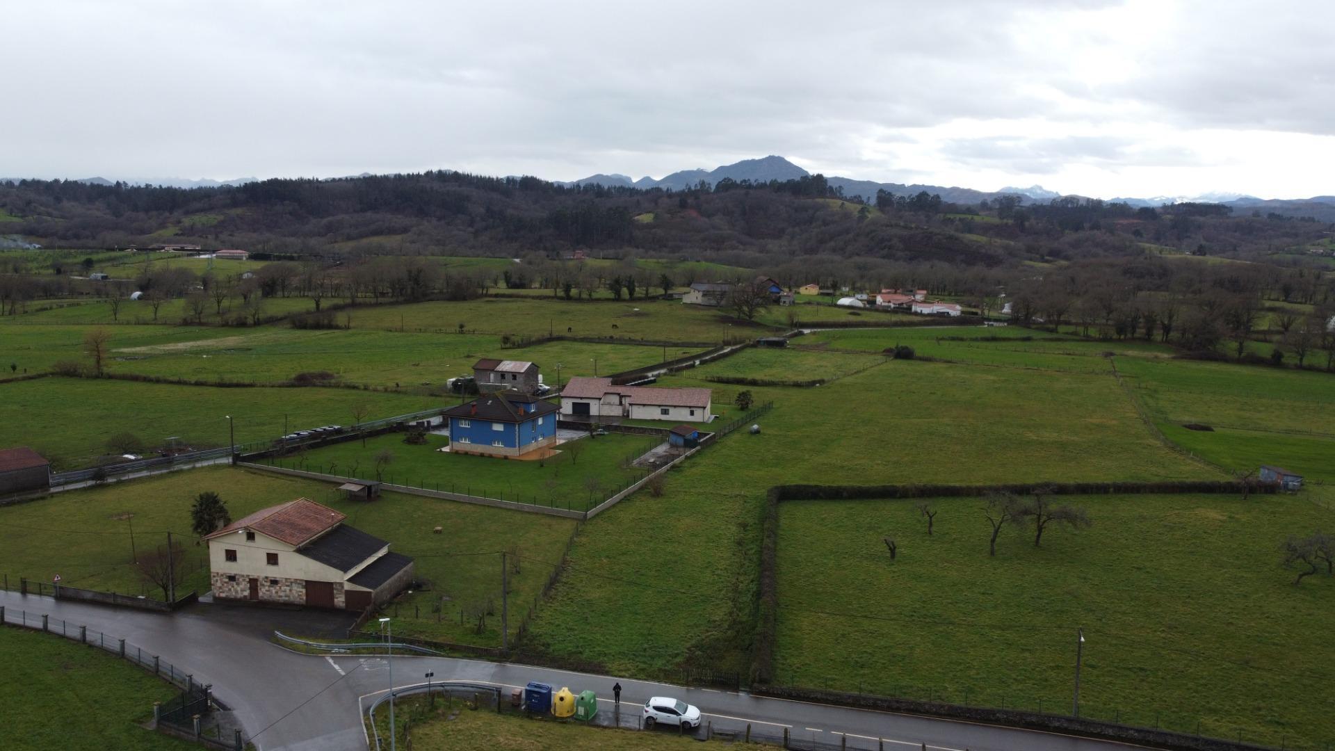 Fincas y solares-Venta-Sariego-2107128-Foto-19