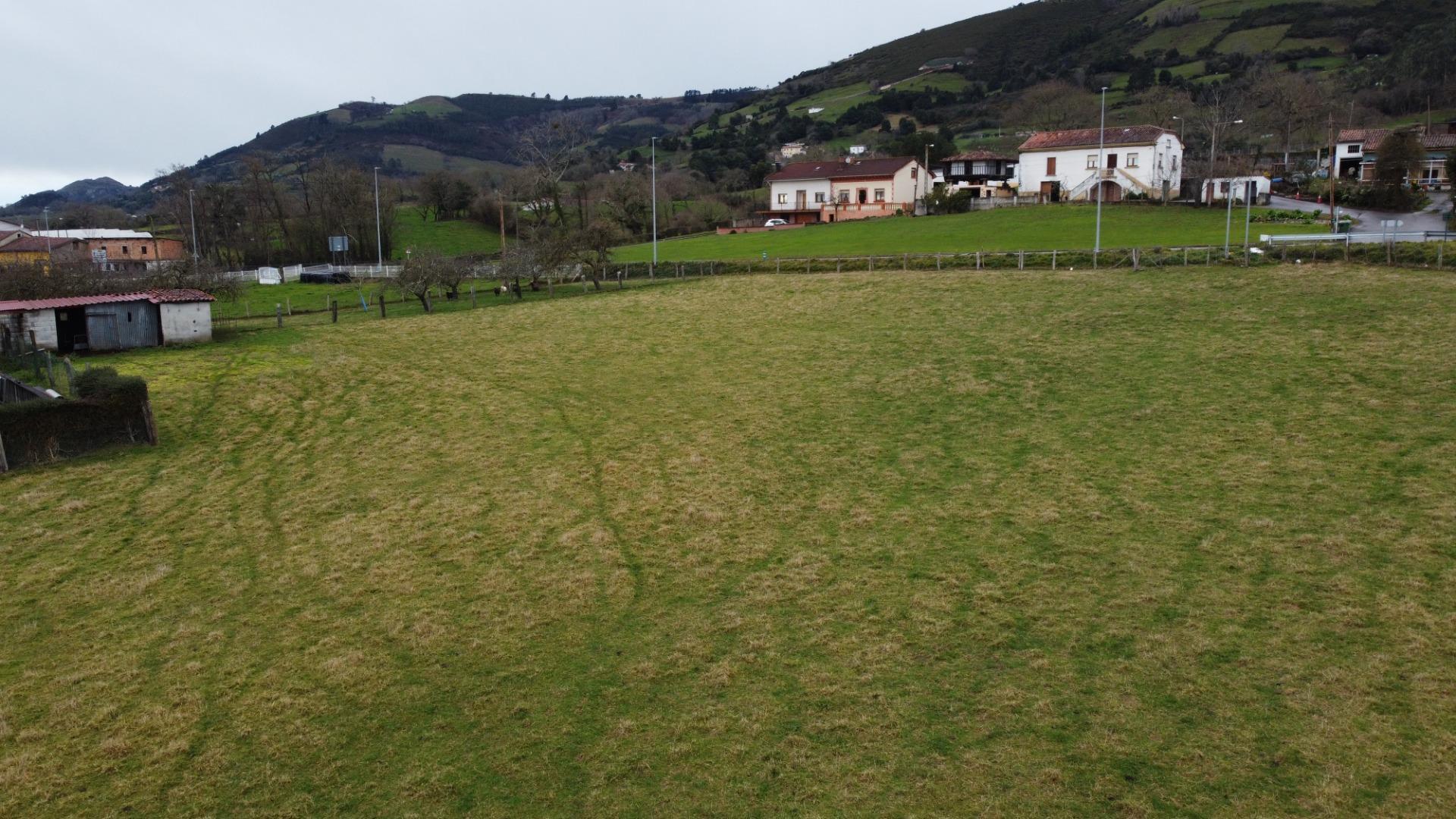 Fincas y solares-Venta-Sariego-2107128-Foto-28