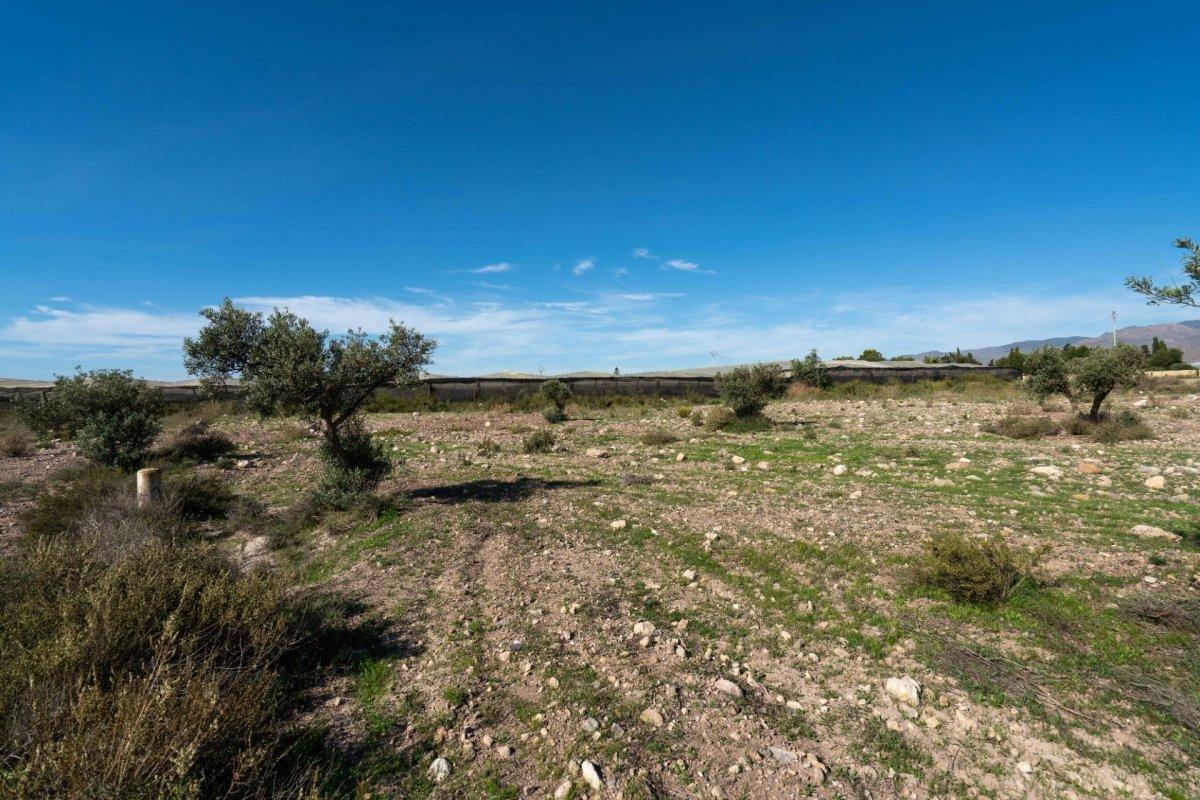 Fincas y solares-Venta-CAMPOHERMOSO-2107134