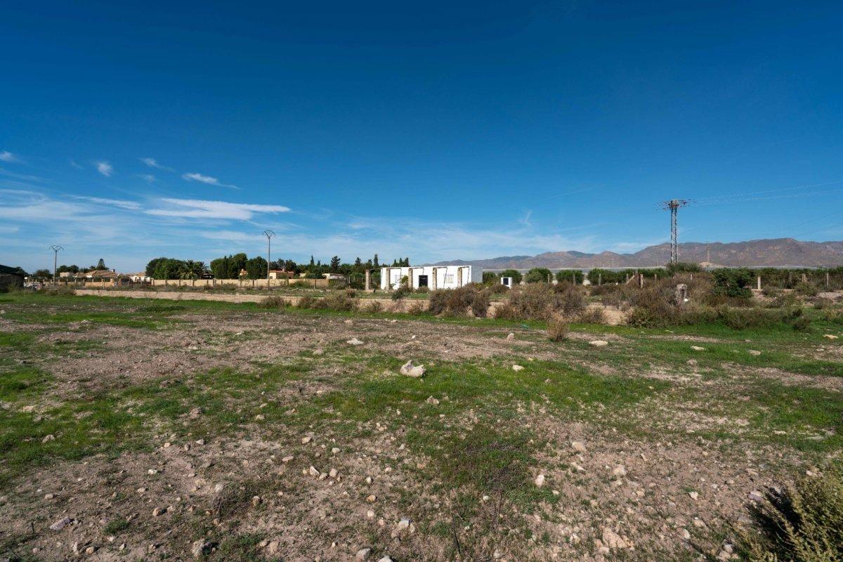 Fincas y solares-Venta-CAMPOHERMOSO-2107134-Foto-6