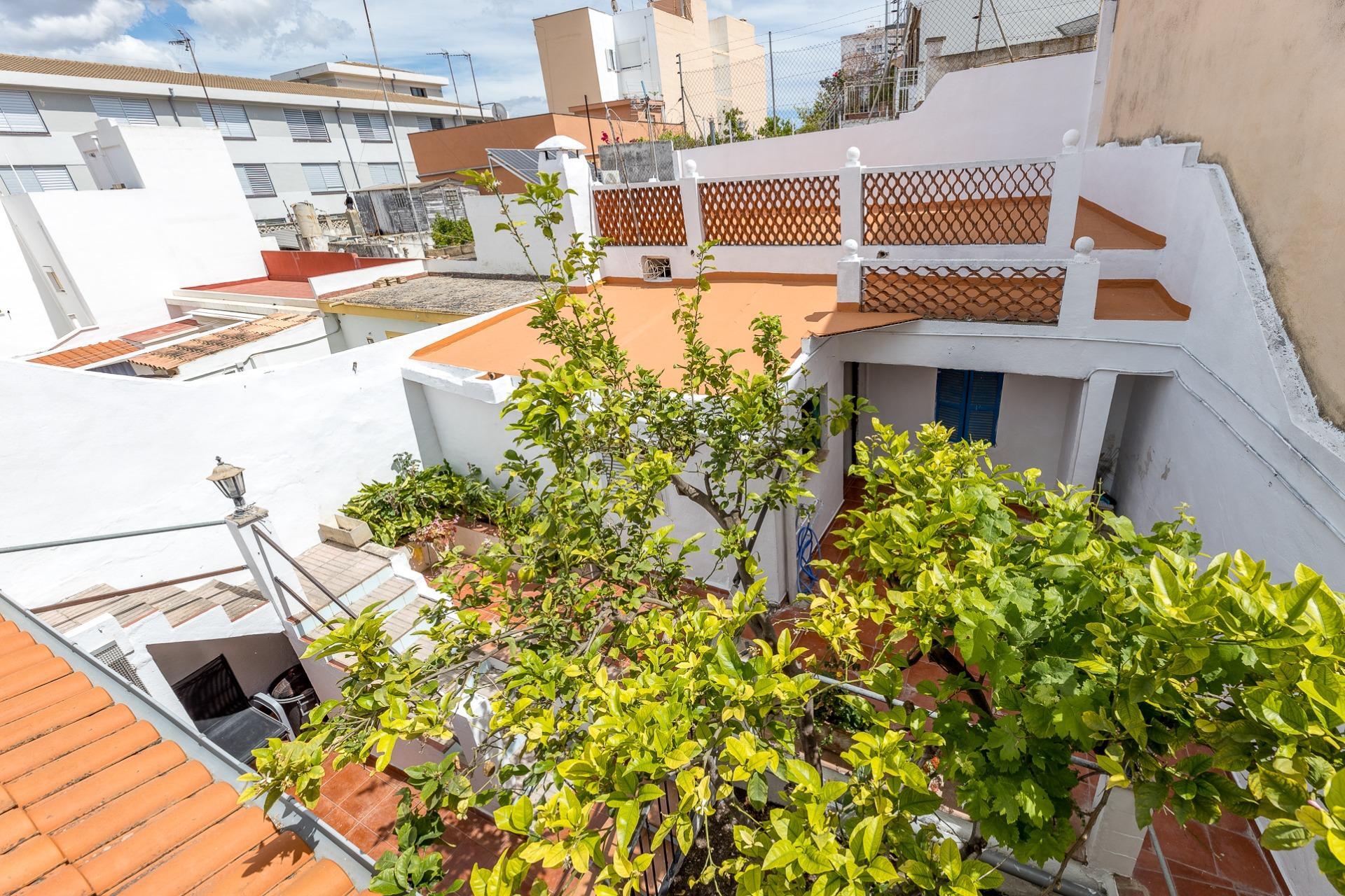 Casas o chalets-Venta-Palma de Mallorca-1721780-Foto-26