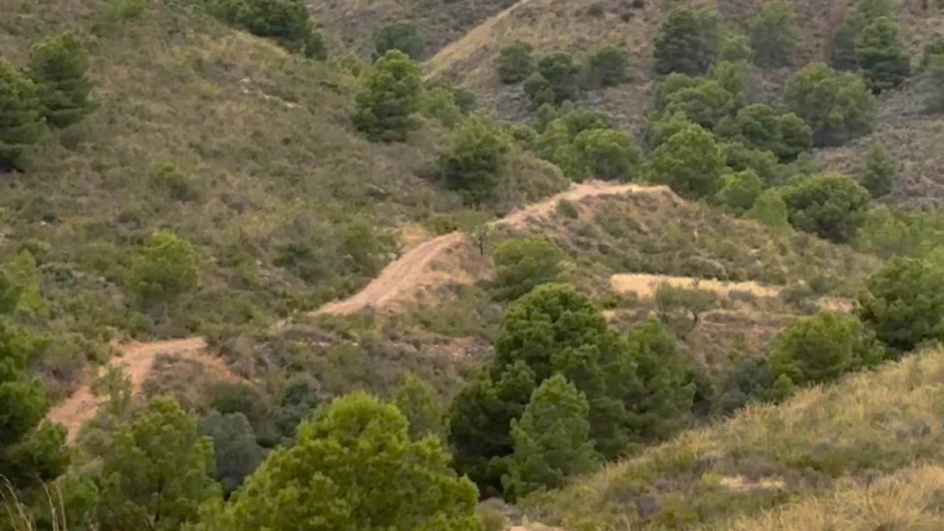 Pisos-Alquiler-Lorca-2107155-Foto-27