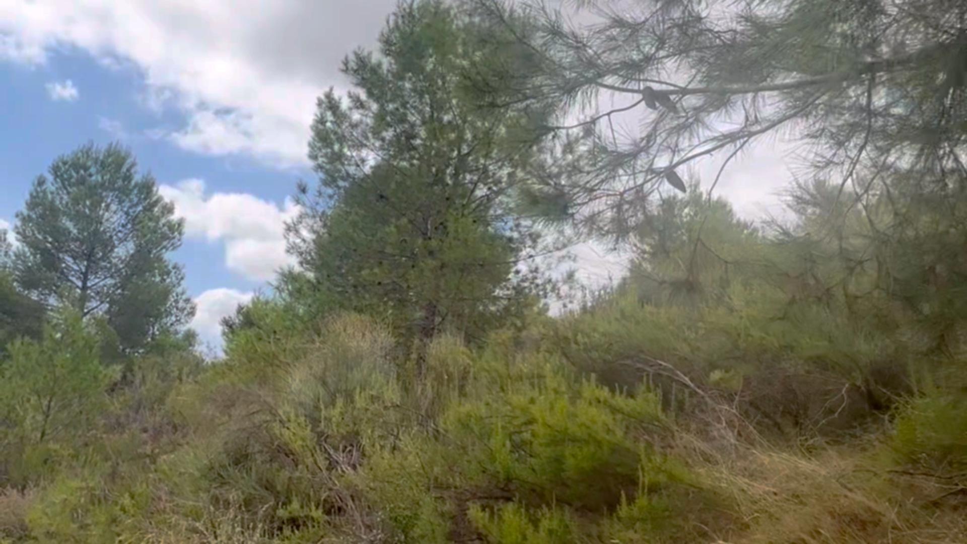 Pisos-Alquiler-Lorca-2107155-Foto-35