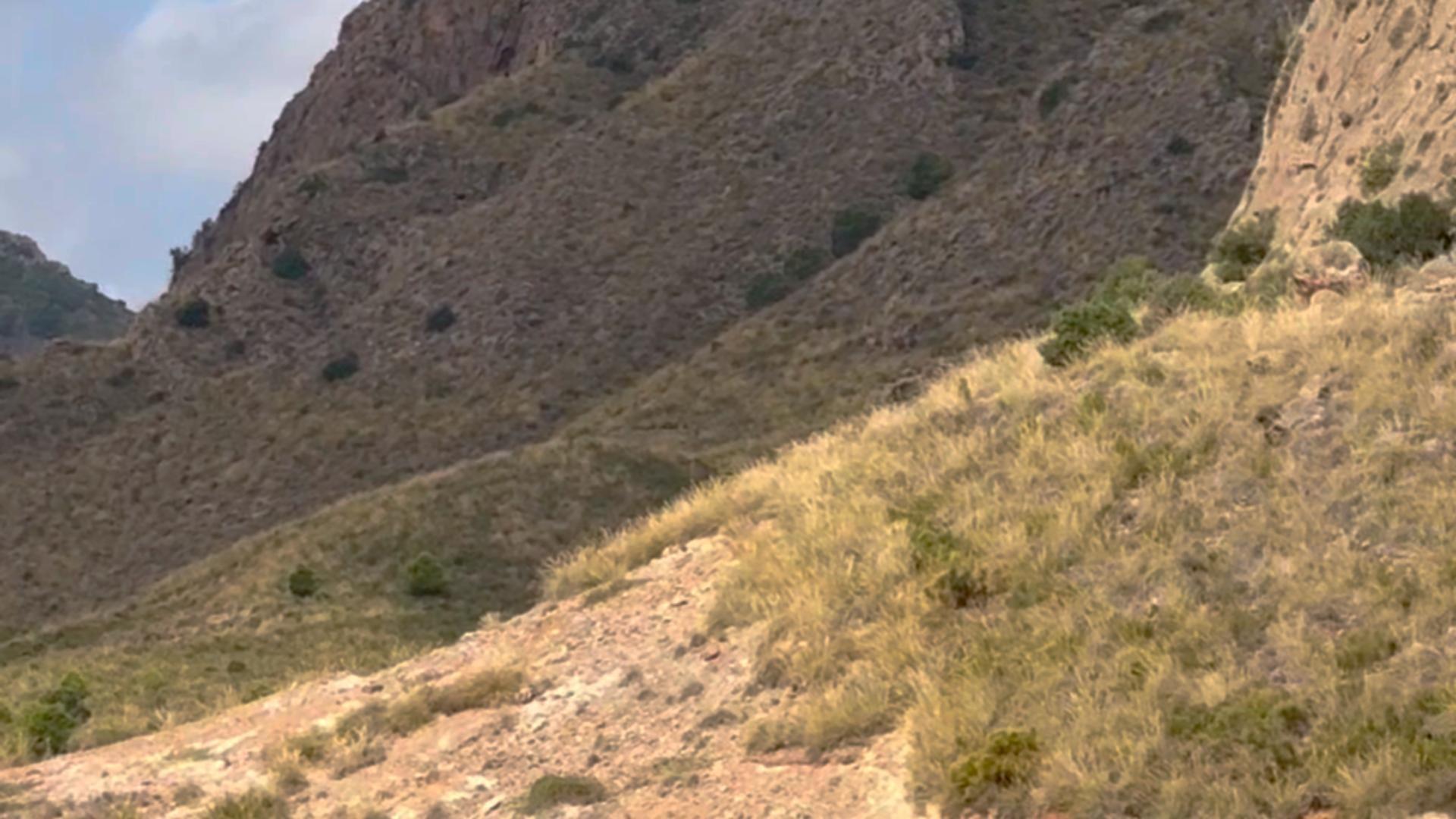 Pisos-Alquiler-Lorca-2107155-Foto-44