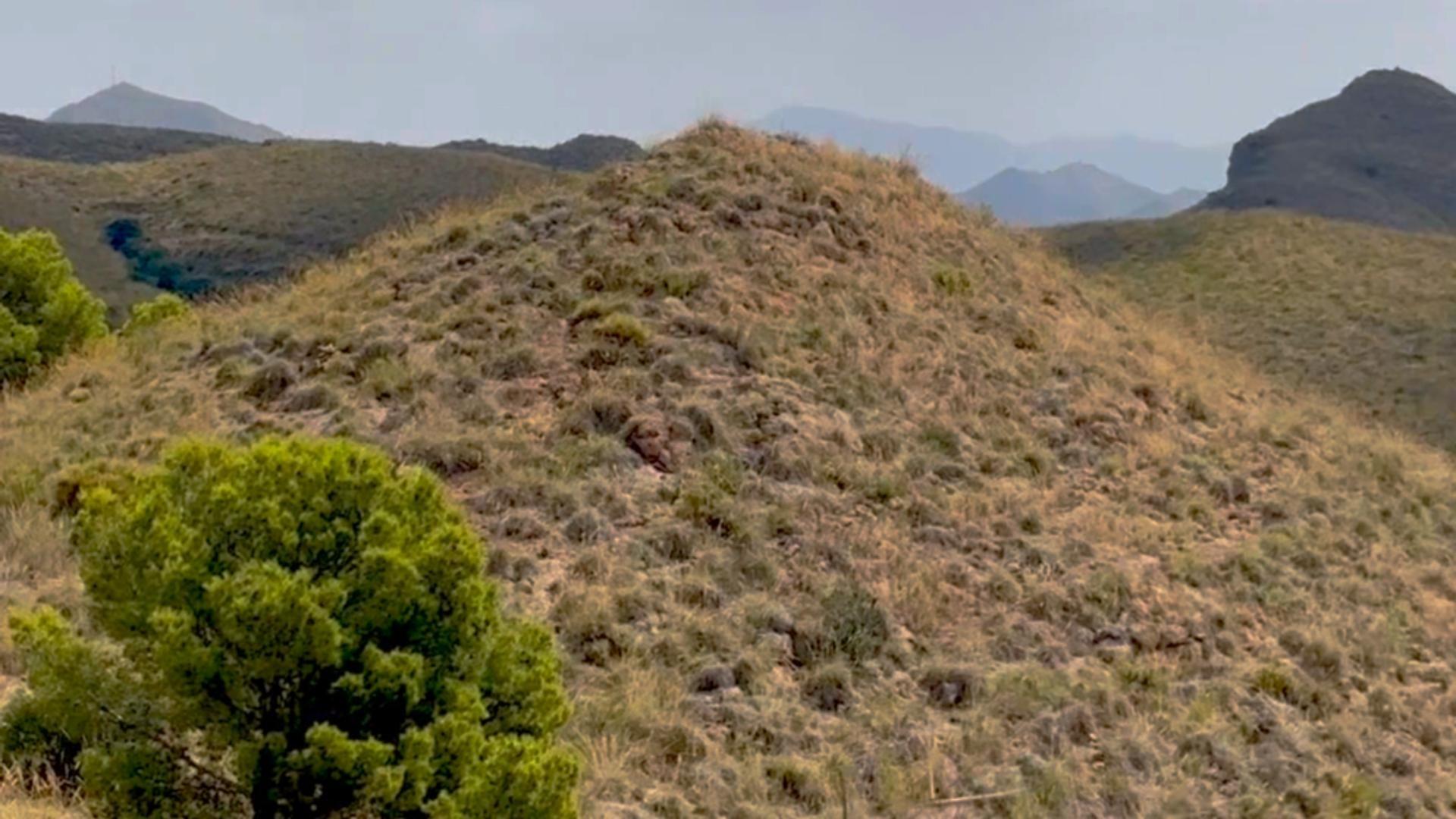 Pisos-Alquiler-Lorca-2107155-Foto-51