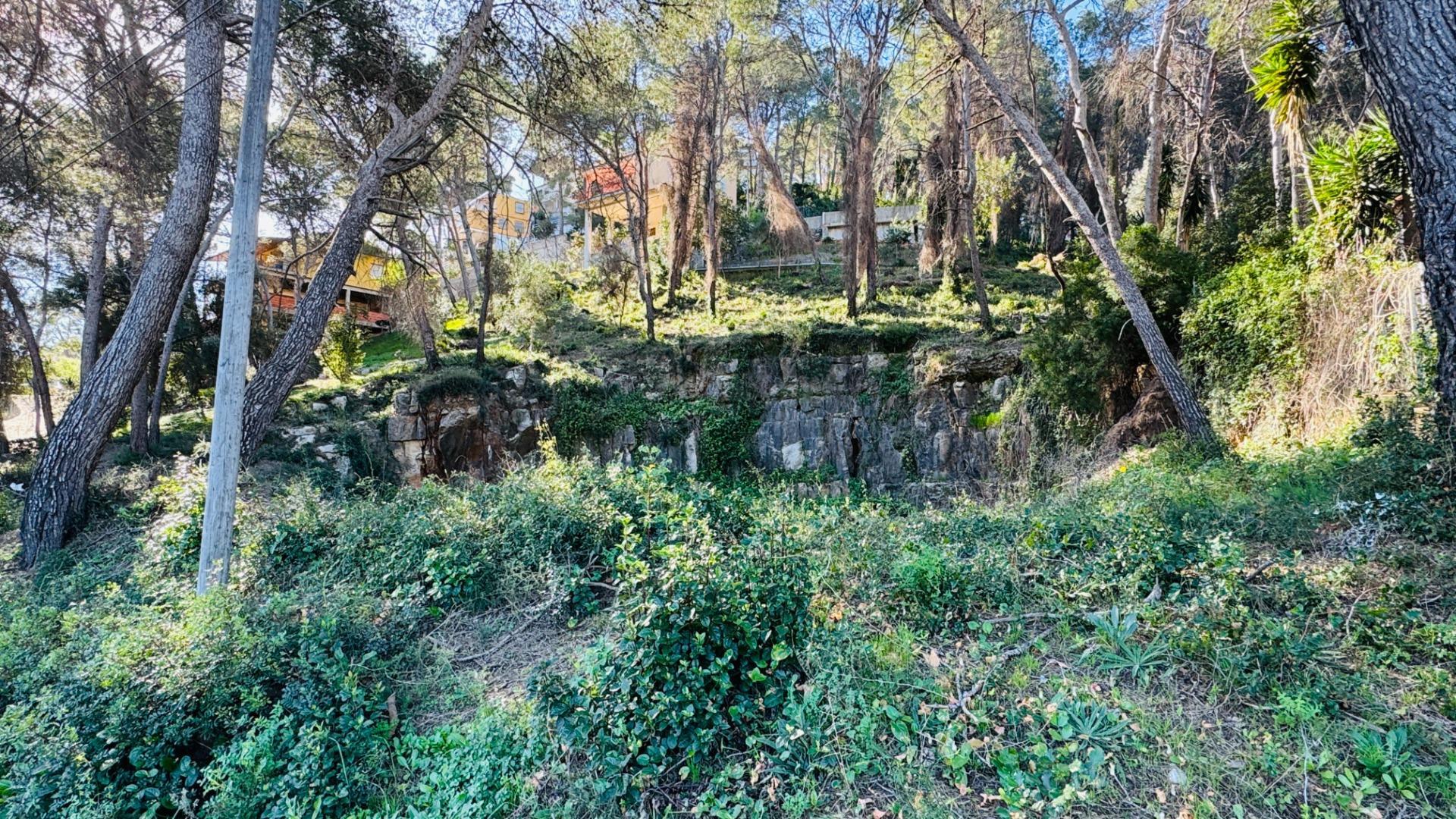 Fincas y solares-Venta-Alzira-2107149-Foto-2