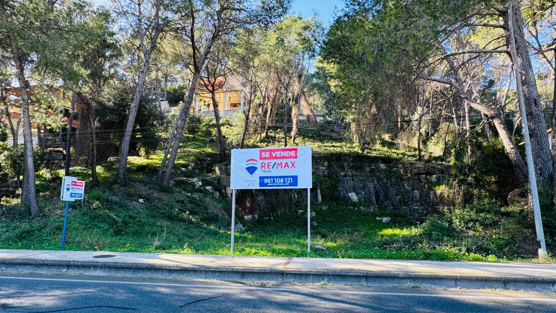 Fincas y solares-Venta-Alzira-2107149