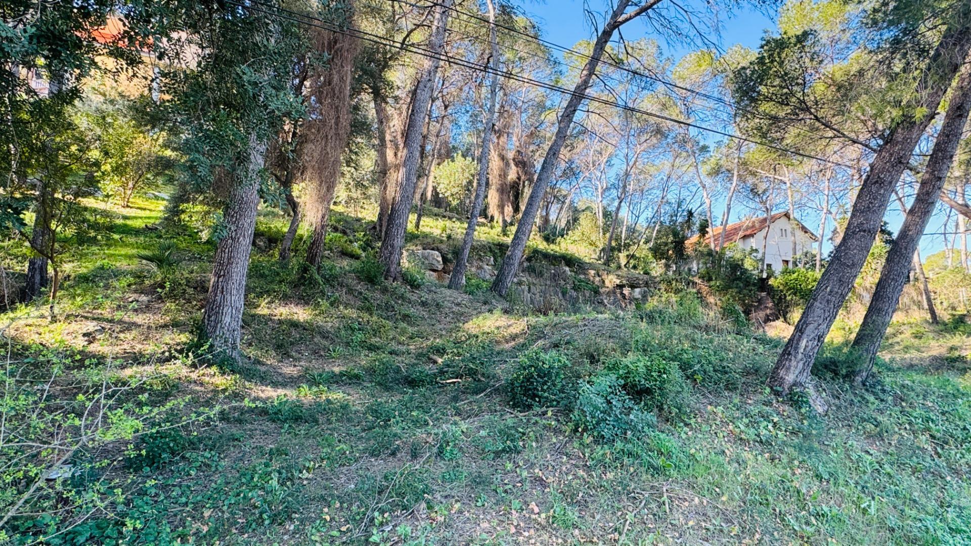 Fincas y solares-Venta-Alzira-2107149-Foto-4