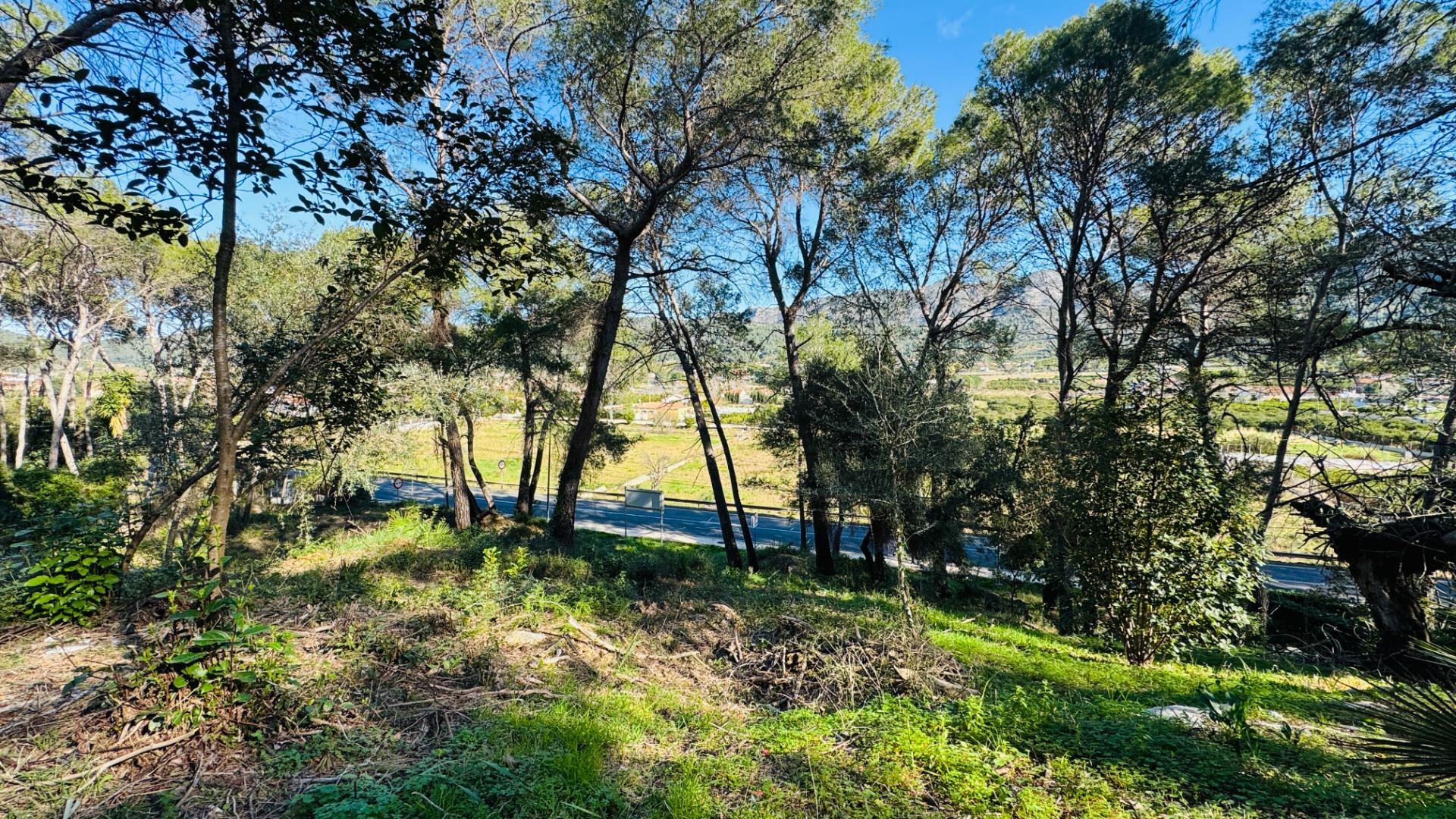 Fincas y solares-Venta-Alzira-2107149-Foto-9