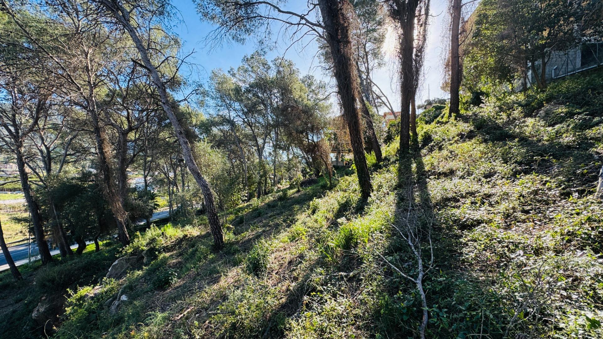 Fincas y solares-Venta-Alzira-2107149-Foto-10