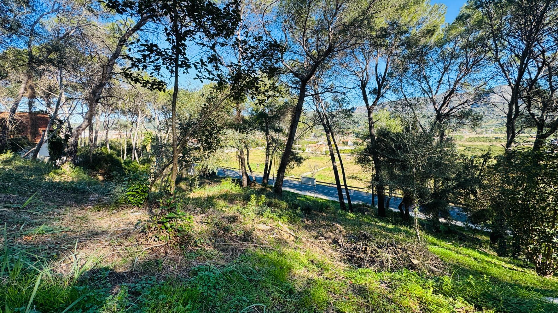 Fincas y solares-Venta-Alzira-2107149-Foto-11