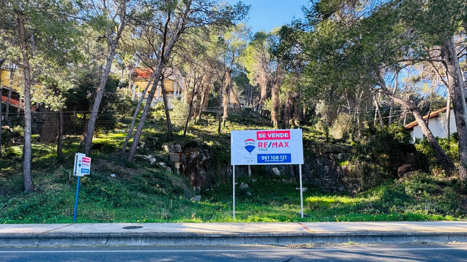 Fincas y solares-Venta-Alzira-2107149-Foto-13